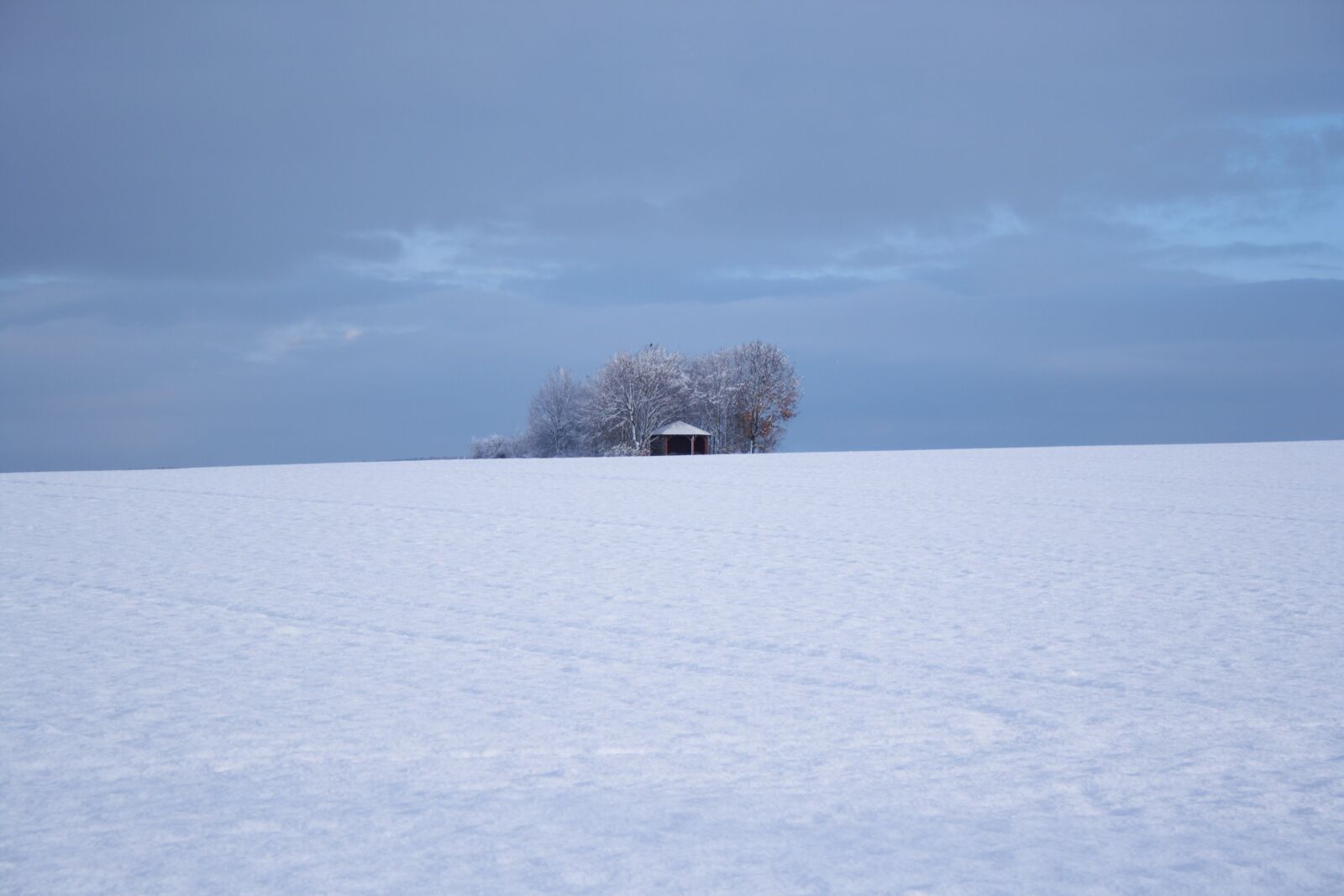 Canon EOS 1000D (EOS Digital Rebel XS / EOS Kiss F) sample photo. Nieve, casa, snow photography