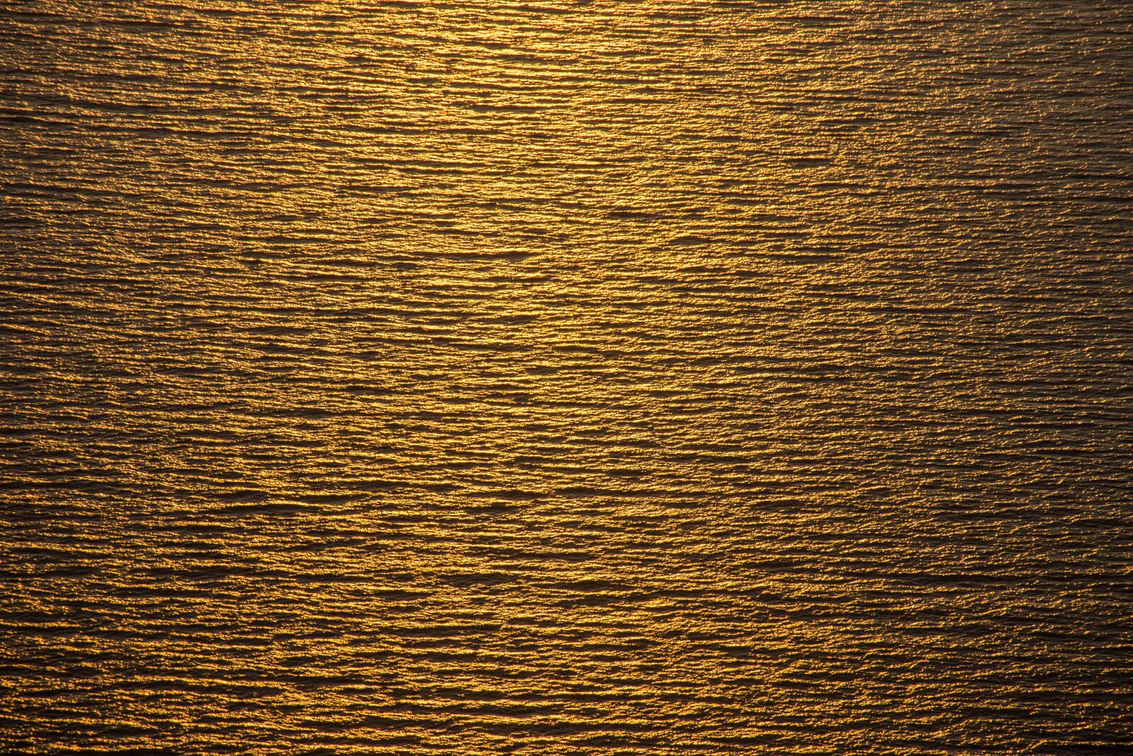 Nikon D7200 sample photo. Sea, gold, texture photography