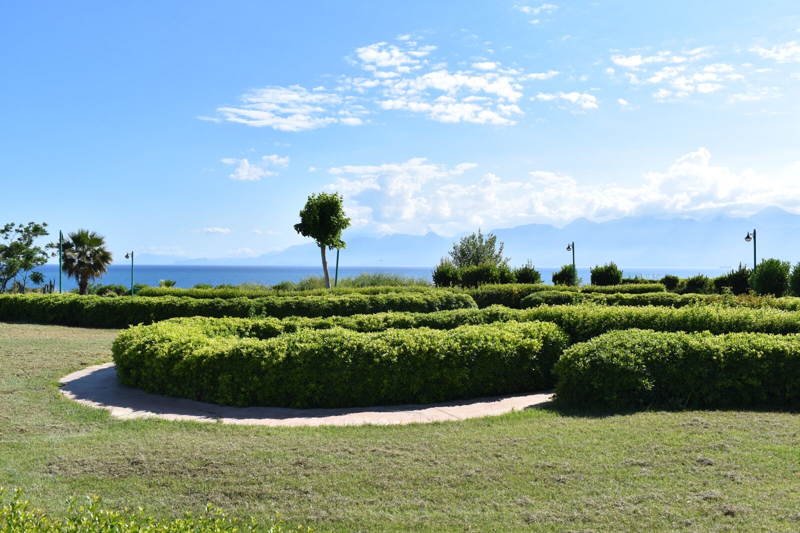 Nikon D3500 sample photo. Park, nature, peace photography
