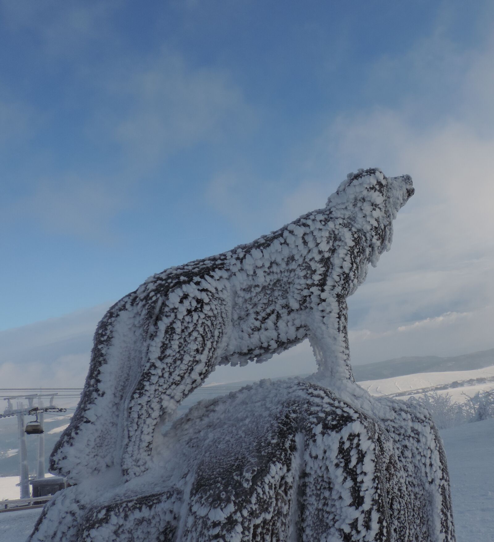 Nikon Coolpix P520 sample photo. Wolf, ice, fichtelberg photography