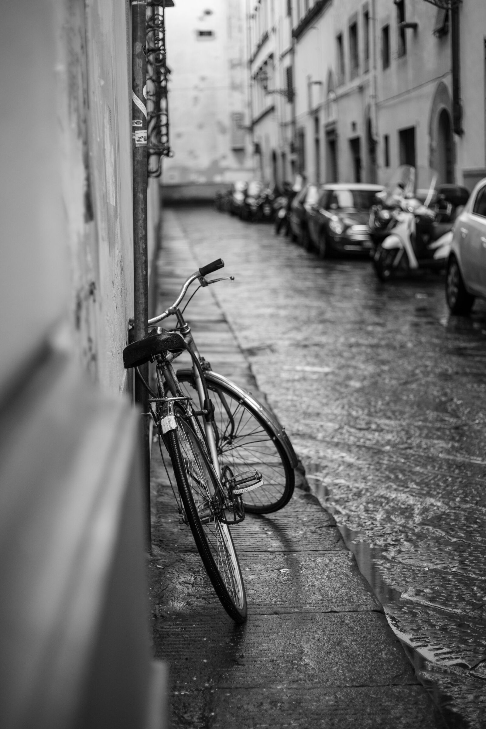 Canon EF 50mm F1.8 II sample photo. Transportation, bicycles, wheels photography