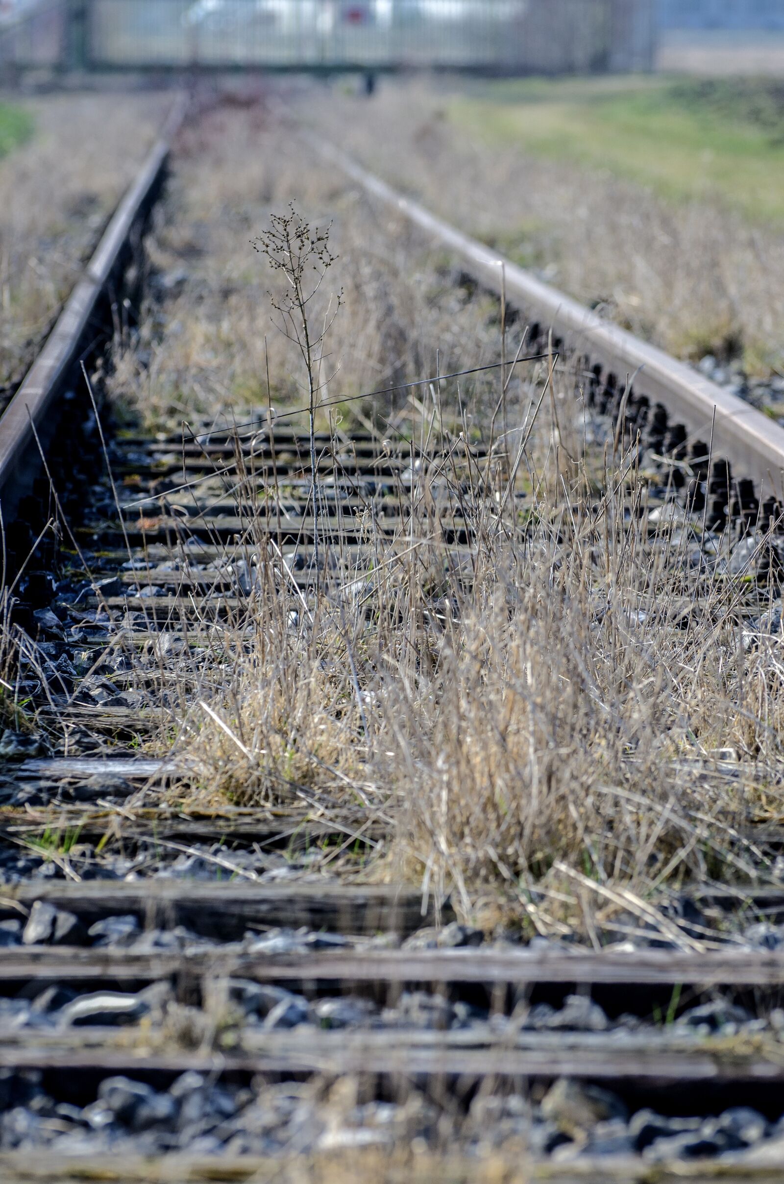 Nikon D7000 sample photo. Gleise, train tracks, track photography