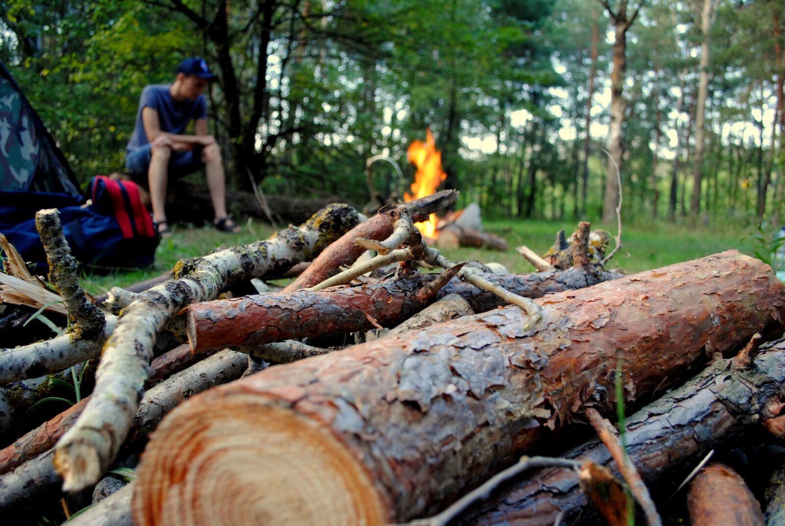 Nikon D3000 sample photo. Man, fire, forest photography