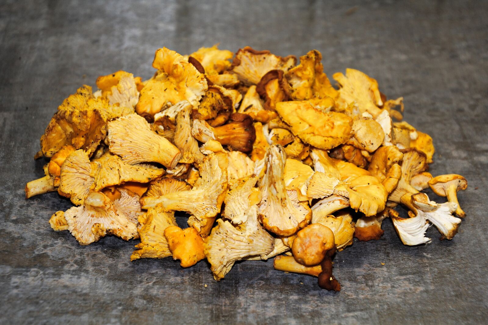 Canon EOS 60D sample photo. Chanterelles, eierschwammerl, mushrooms photography