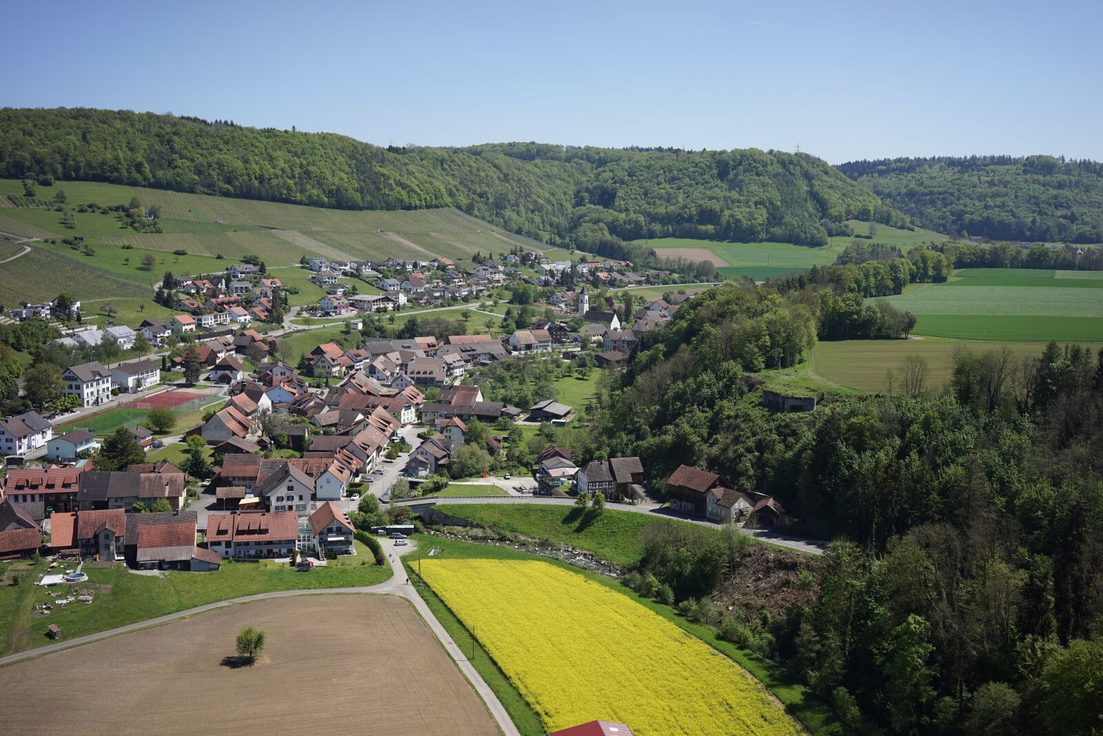 Sony a7R + Sony Sonnar T* FE 35mm F2.8 ZA sample photo. Tree, hill, panorama photography