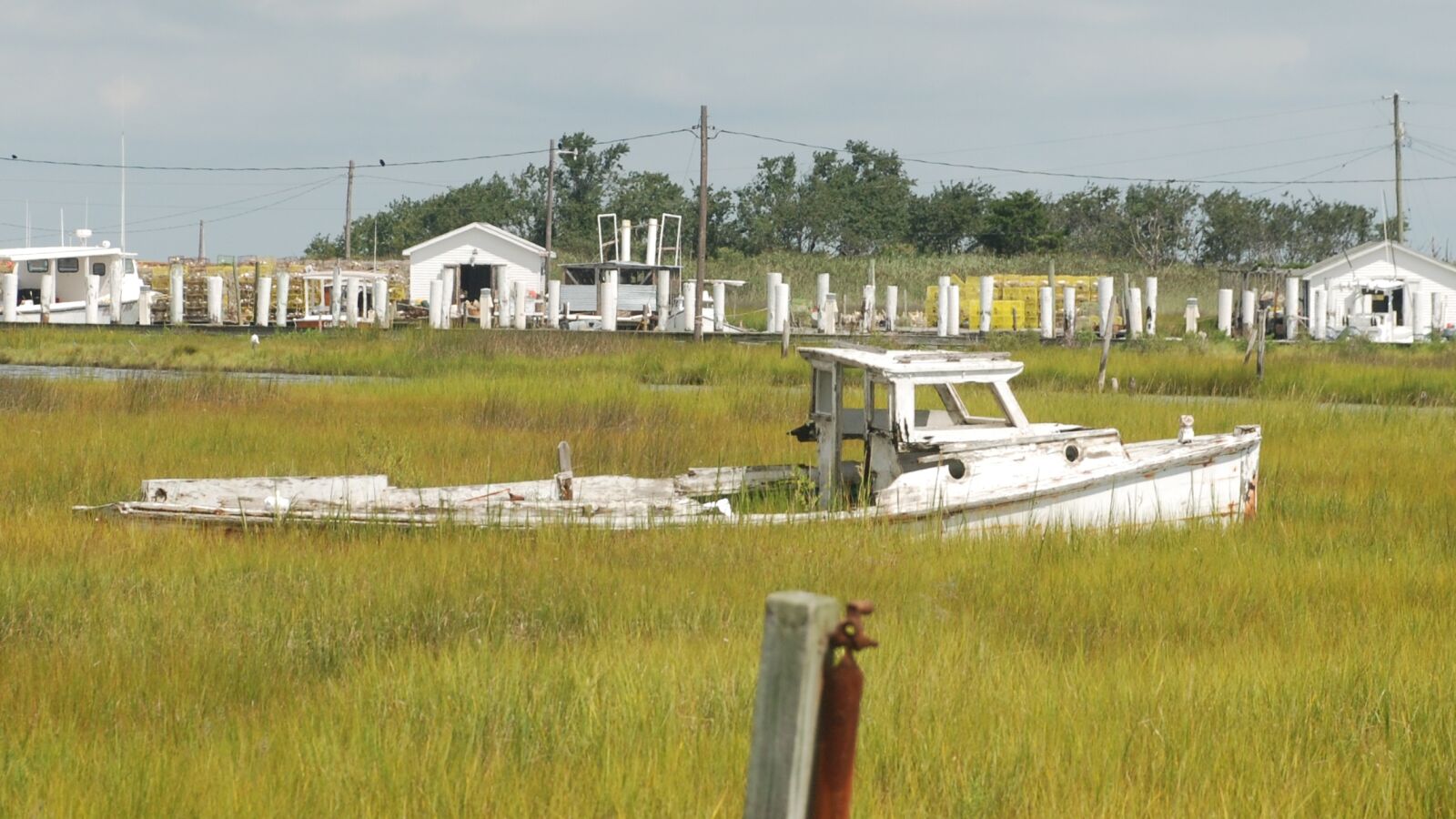 Nikon D80 sample photo. Tangier island, chesapeake, bay photography
