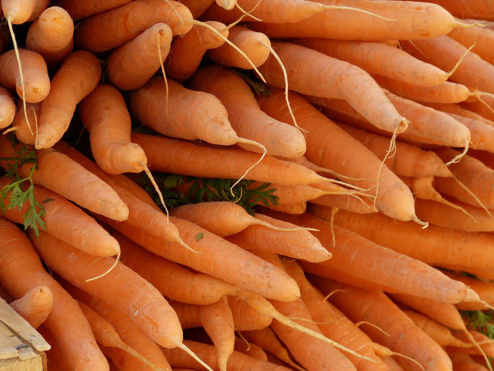 Panasonic Lumix DMC-FZ150 sample photo. Carrots, vegetables, healthy photography