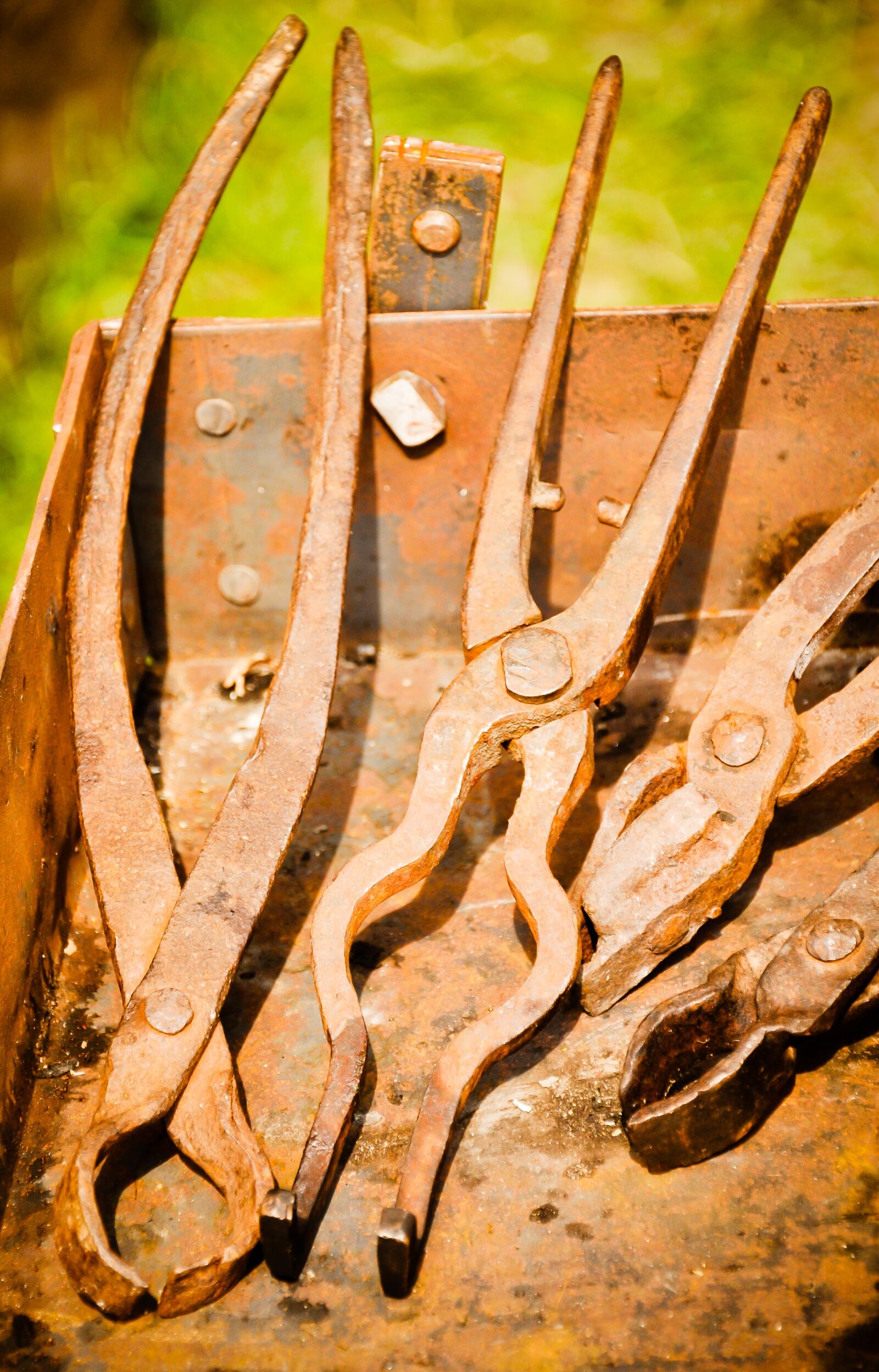 Nikon D5000 sample photo. Torture, needle nose pliers photography