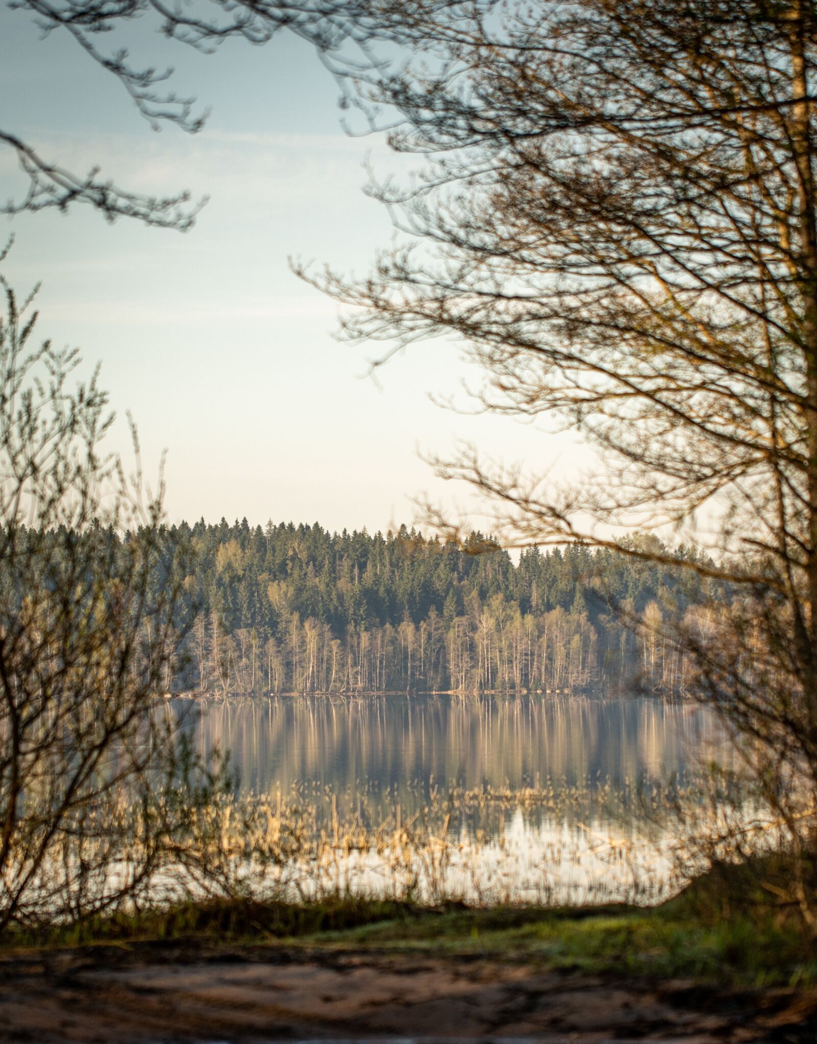 Sony a7R II + Canon EF 100mm F2.8L Macro IS USM sample photo. Landscape, lake, forest photography