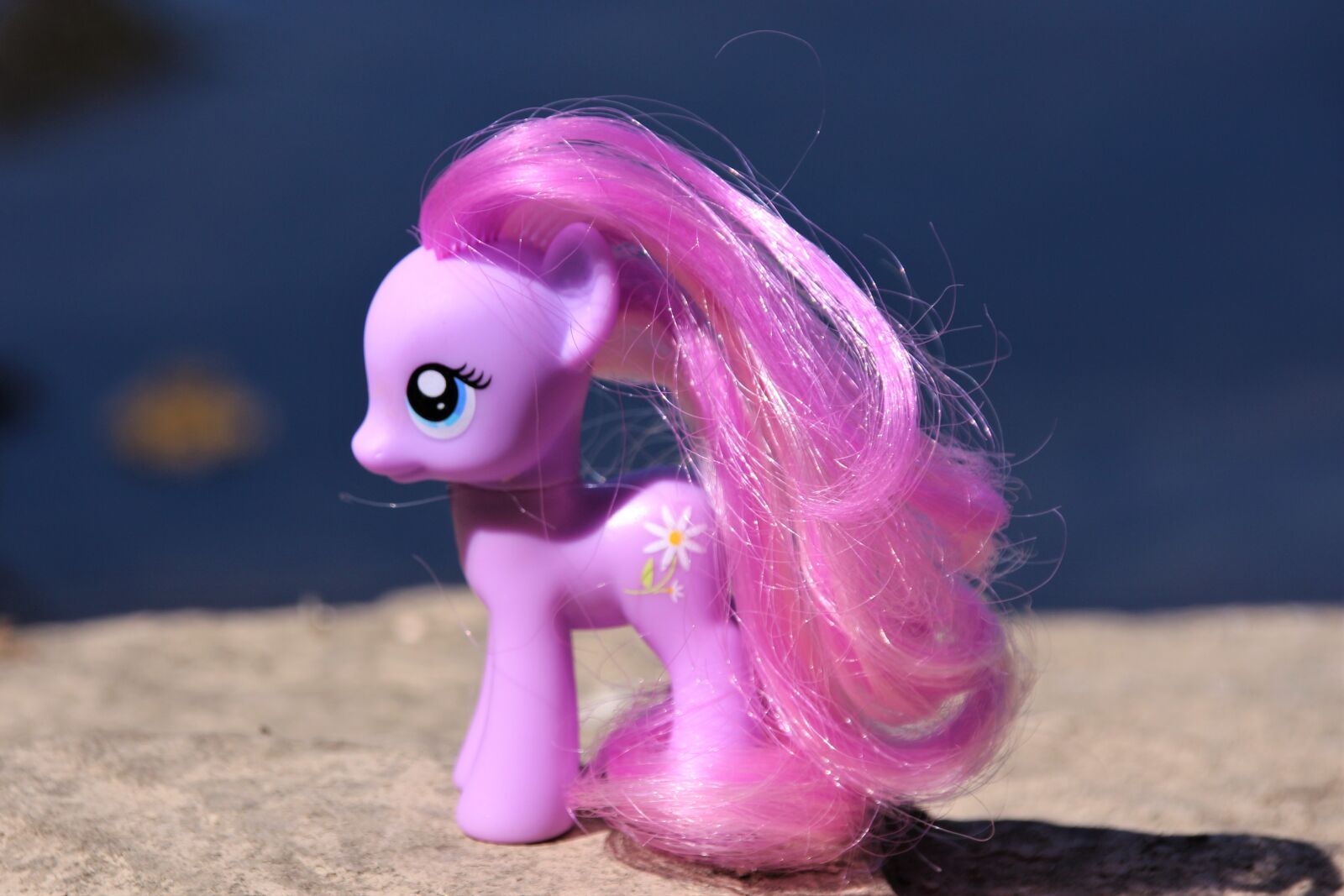 Canon EOS 700D (EOS Rebel T5i / EOS Kiss X7i) sample photo. My little pony, toys photography
