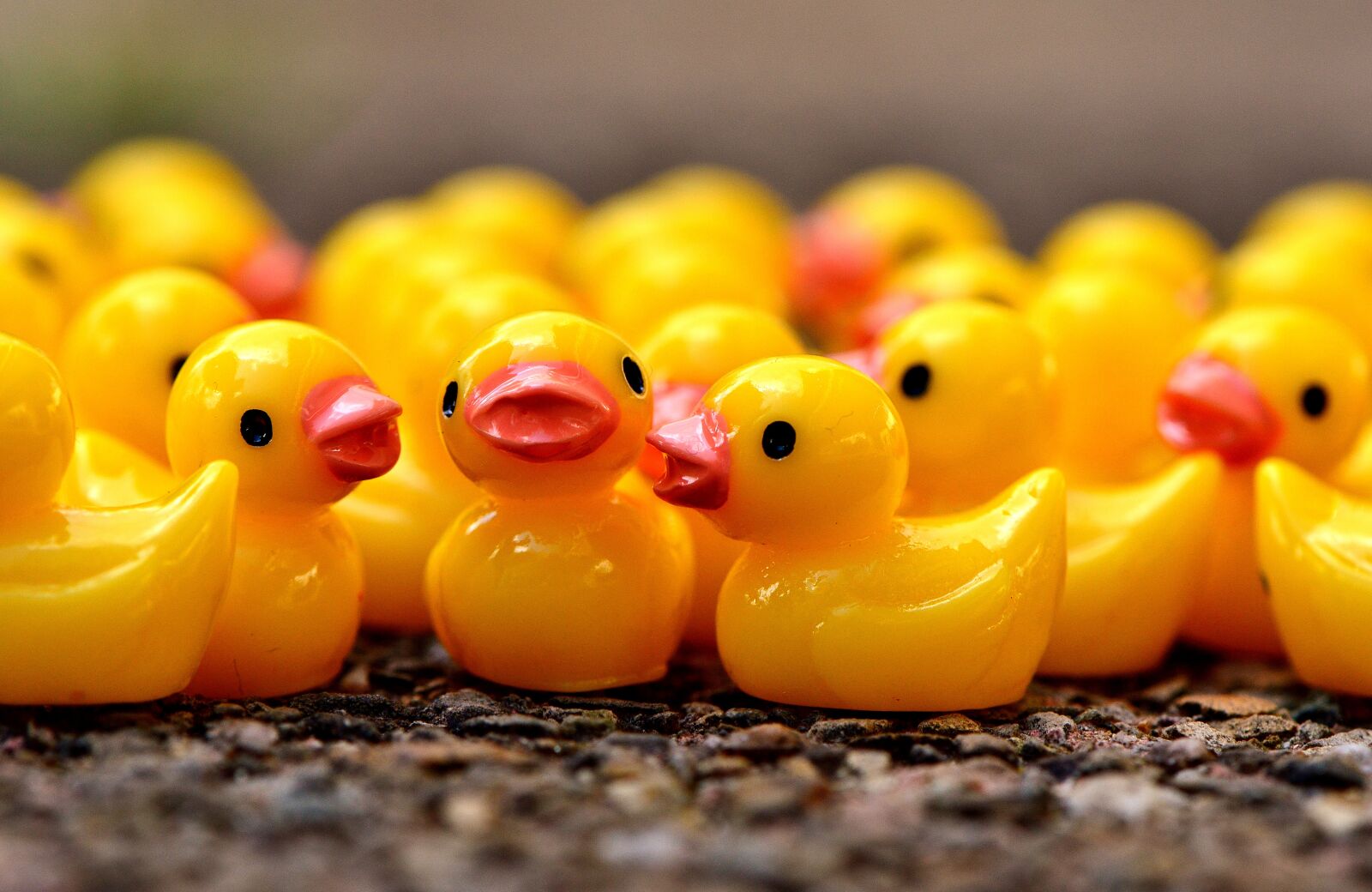 Nikon D3200 sample photo. Ducky, figures, cute photography