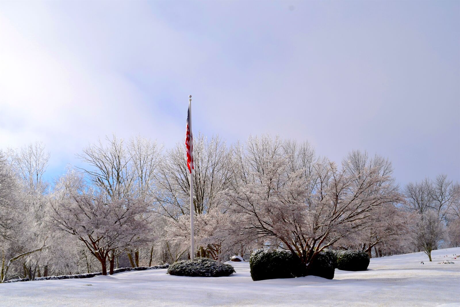 Nikon D3300 sample photo. Snow, winter, frost photography