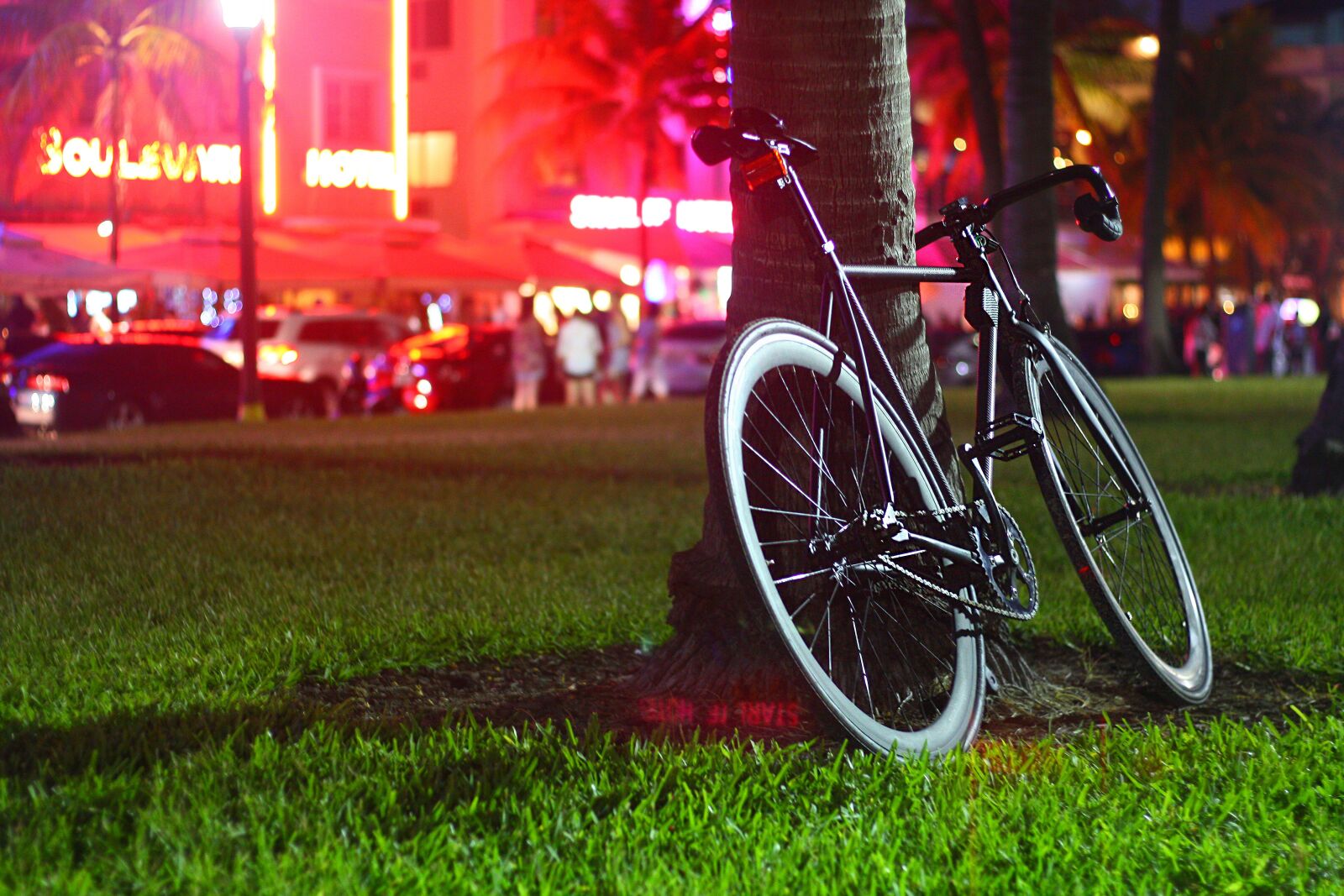 Canon EOS 450D (EOS Rebel XSi / EOS Kiss X2) sample photo. Night, park, street photography