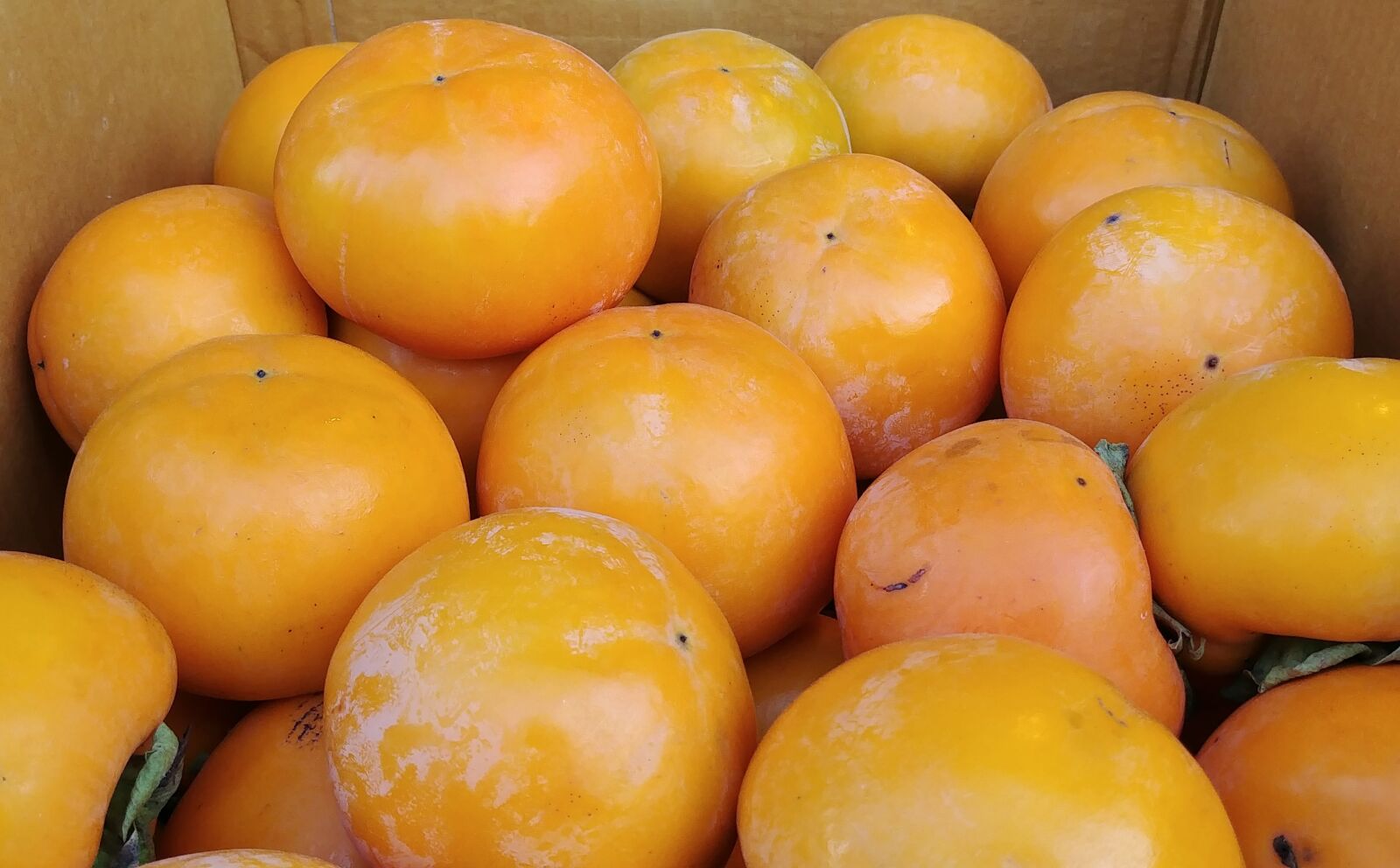LG G6 sample photo. Persimmon, fruit, harvest photography
