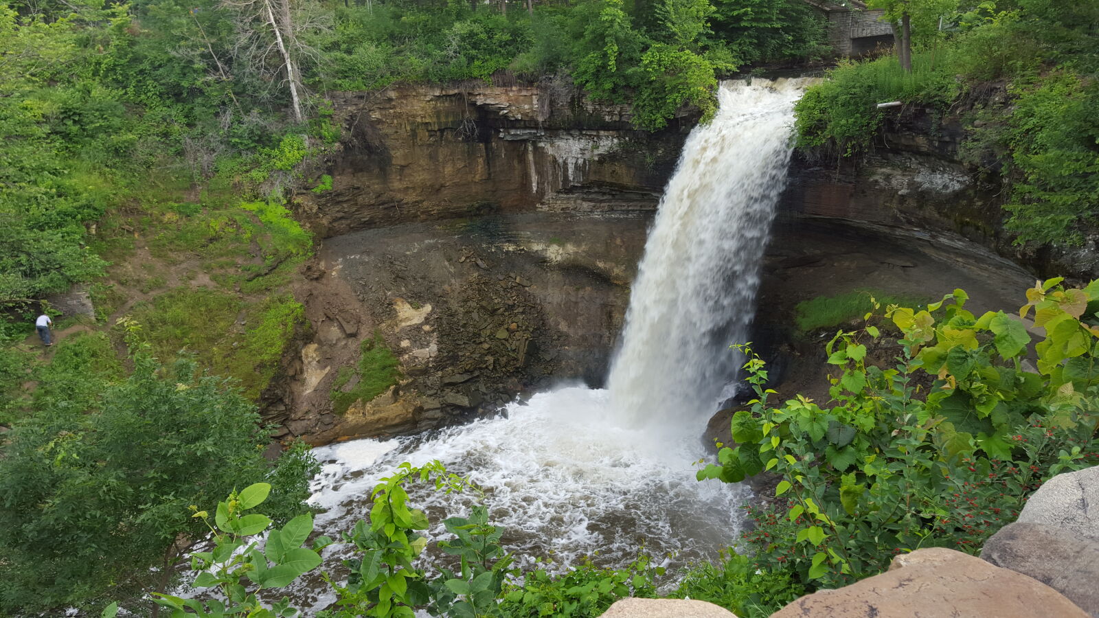 Samsung Galaxy S6 sample photo