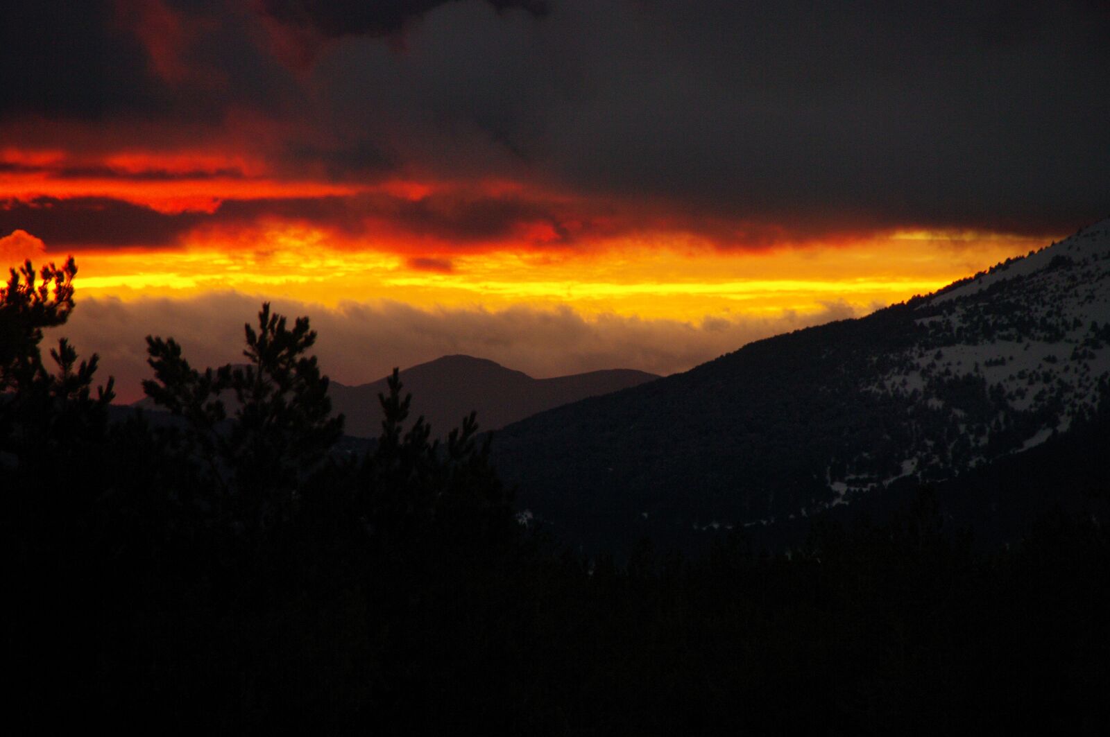 Pentax K20D sample photo. Sunset, fire, forest photography