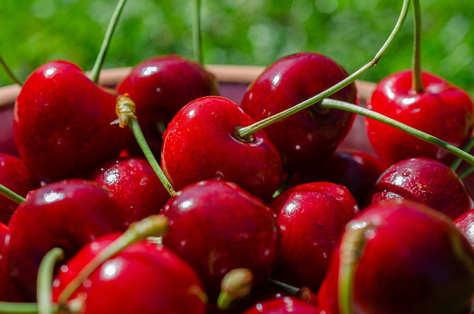 Nikon D7000 sample photo. Cherries, red, sweet photography