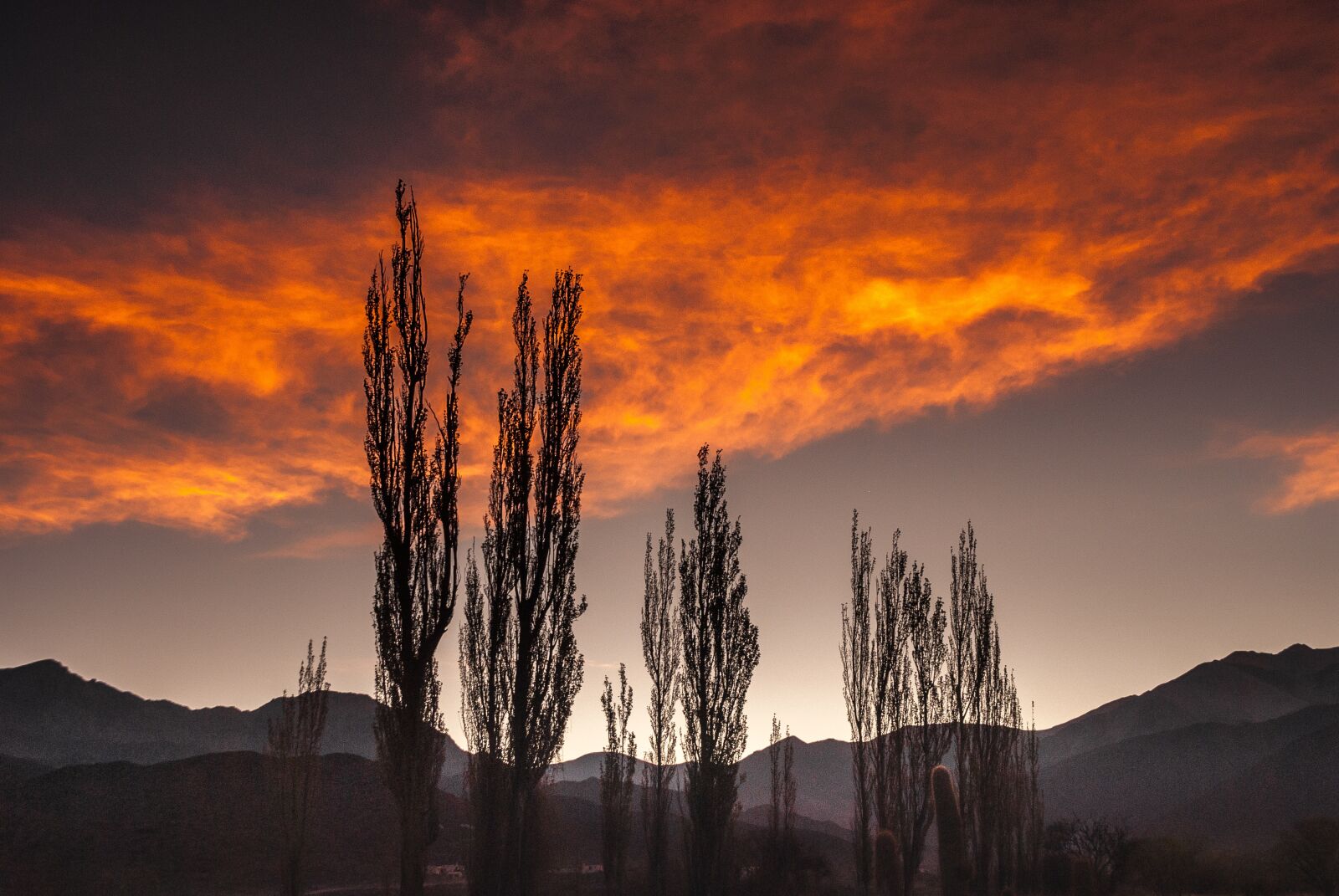 Nikon D200 sample photo. Clouds, trees, landscape photography