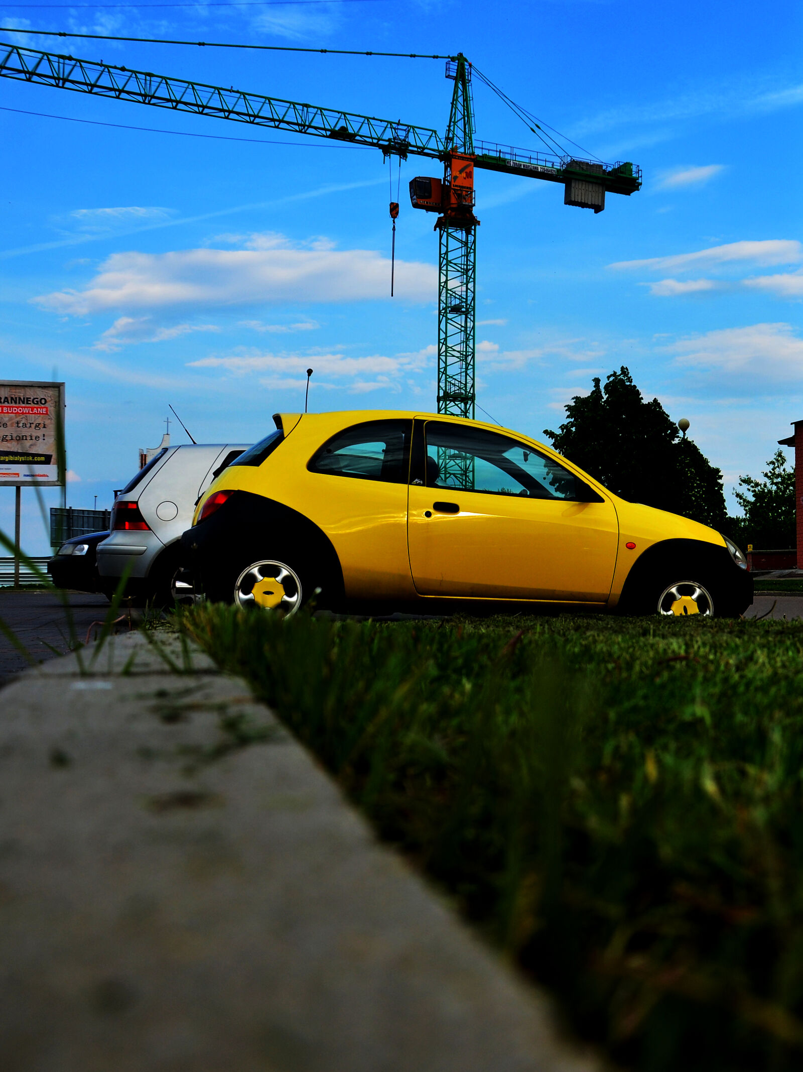 Nikon D5100 sample photo. Theme, low, angel, yellow photography