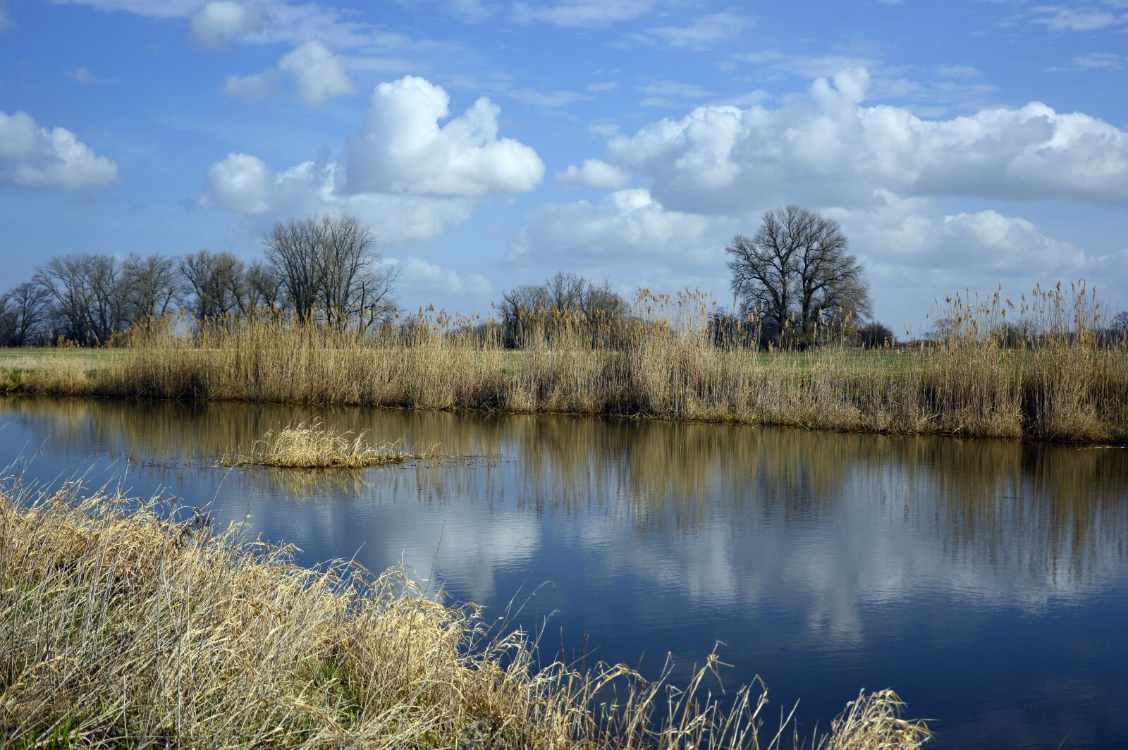 Nikon D3200 sample photo. River, river landscape, landscape photography