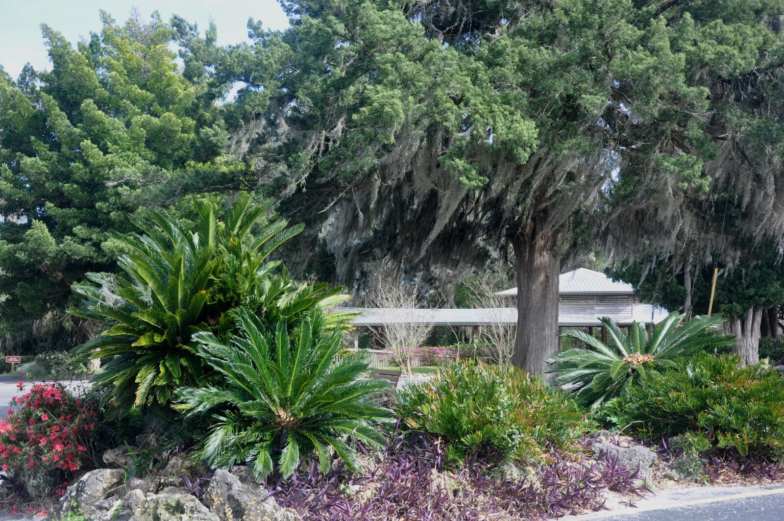 Nikon D90 sample photo. Ravine garden state park photography