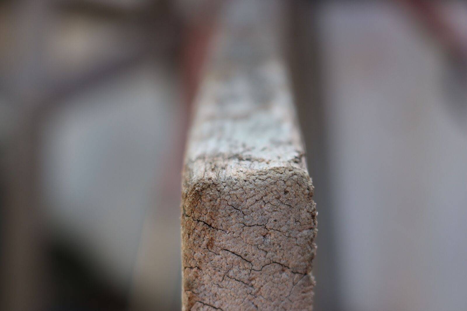 Canon EOS 750D (EOS Rebel T6i / EOS Kiss X8i) sample photo. Wood, old, board photography