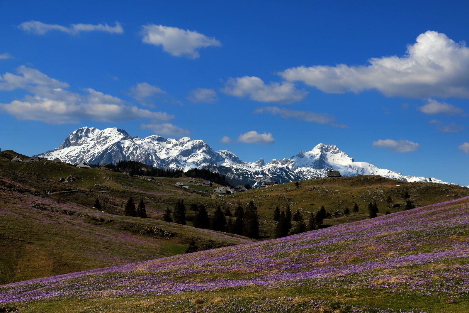 Canon EOS 70D sample photo. Slovenia, velika, planina photography