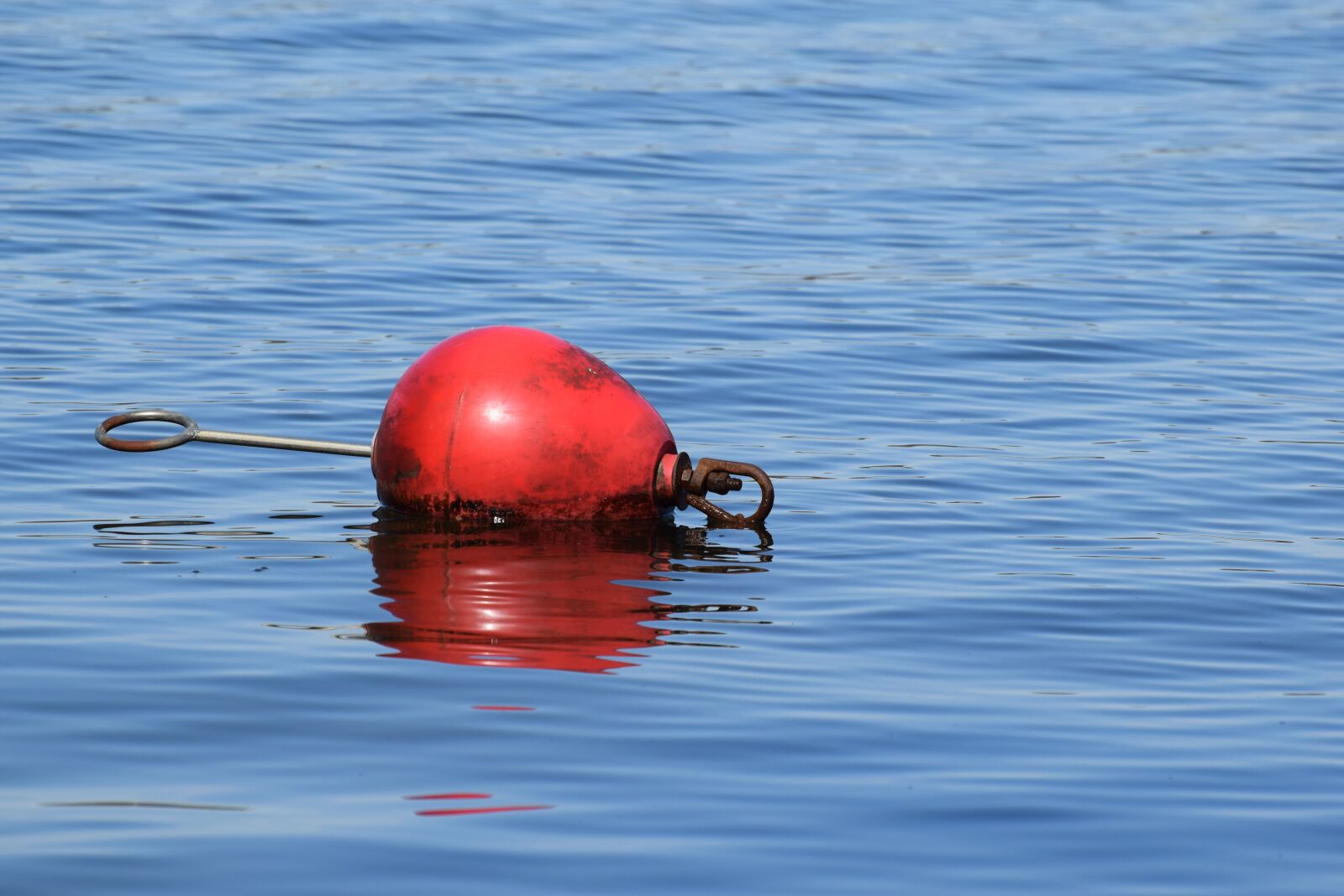 Nikon D5300 sample photo. Buoy, perazzo, water photography