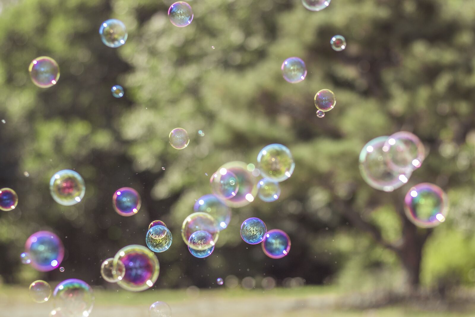 Canon EOS 70D sample photo. Soap bubbles, colorful, flying photography
