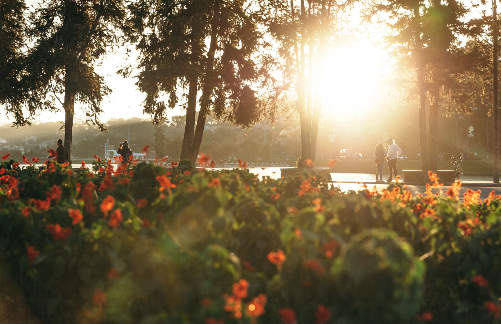 Nikon D700 sample photo. Landscape, travel, cute photography