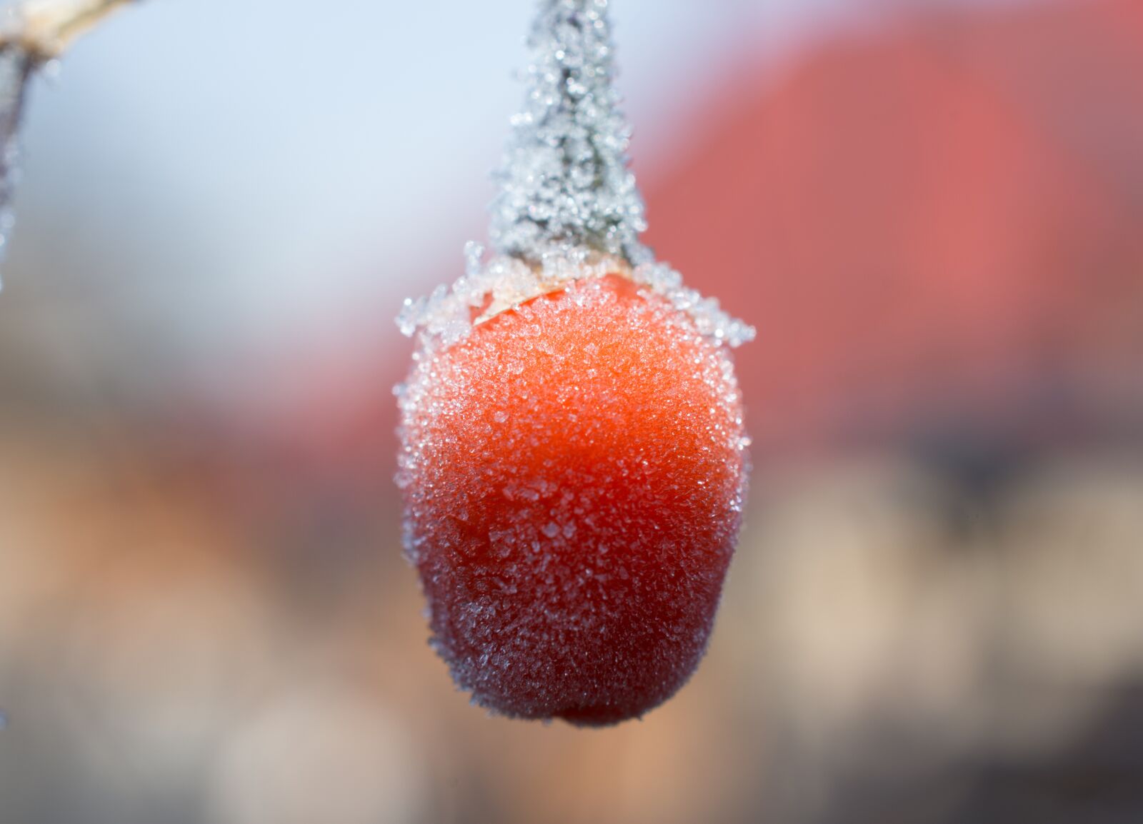 Nikon D7200 sample photo. Cold, air, morning photography