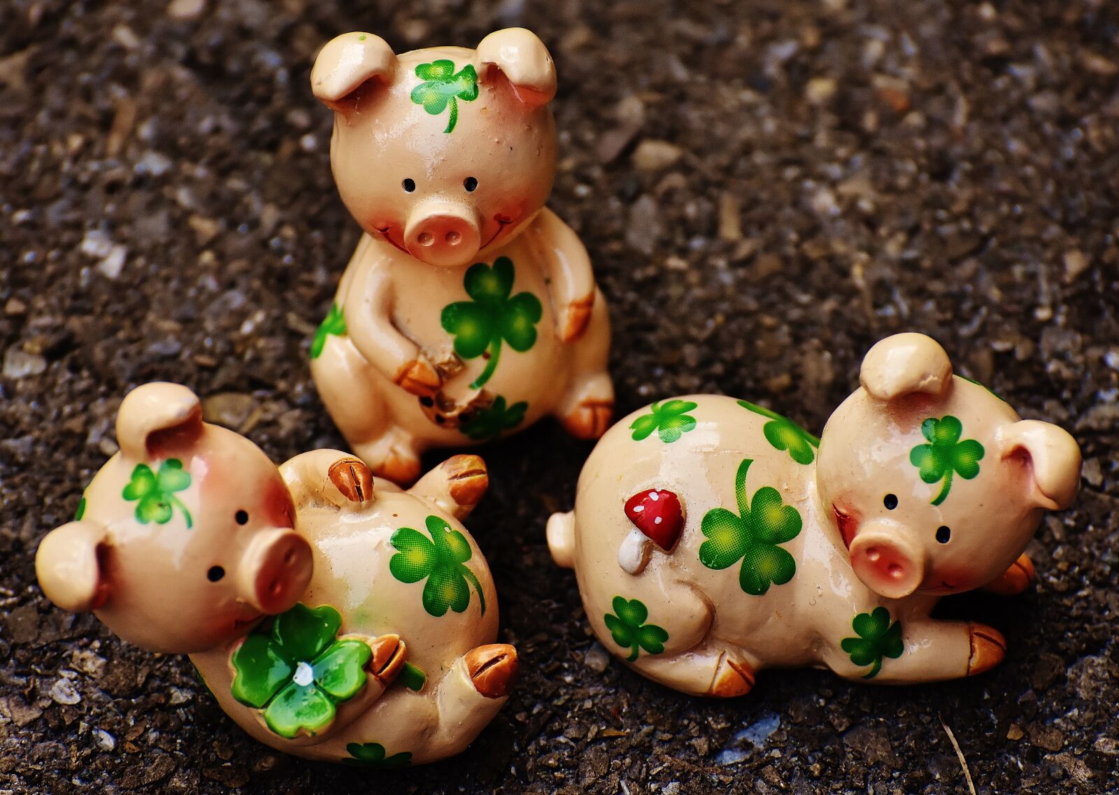 Nikon D7200 sample photo. Lucky pig, figure, luck photography