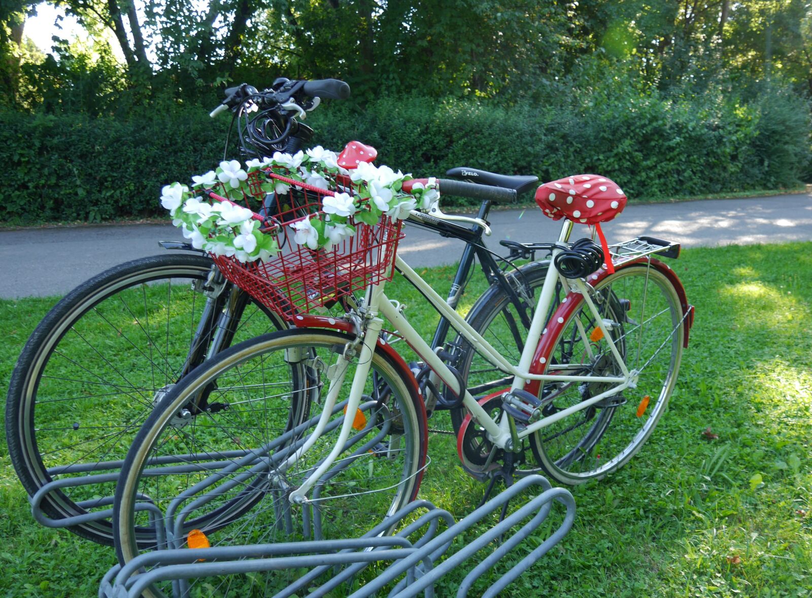 Panasonic Lumix DMC-G6 sample photo. Bike, hippizeit, flower power photography