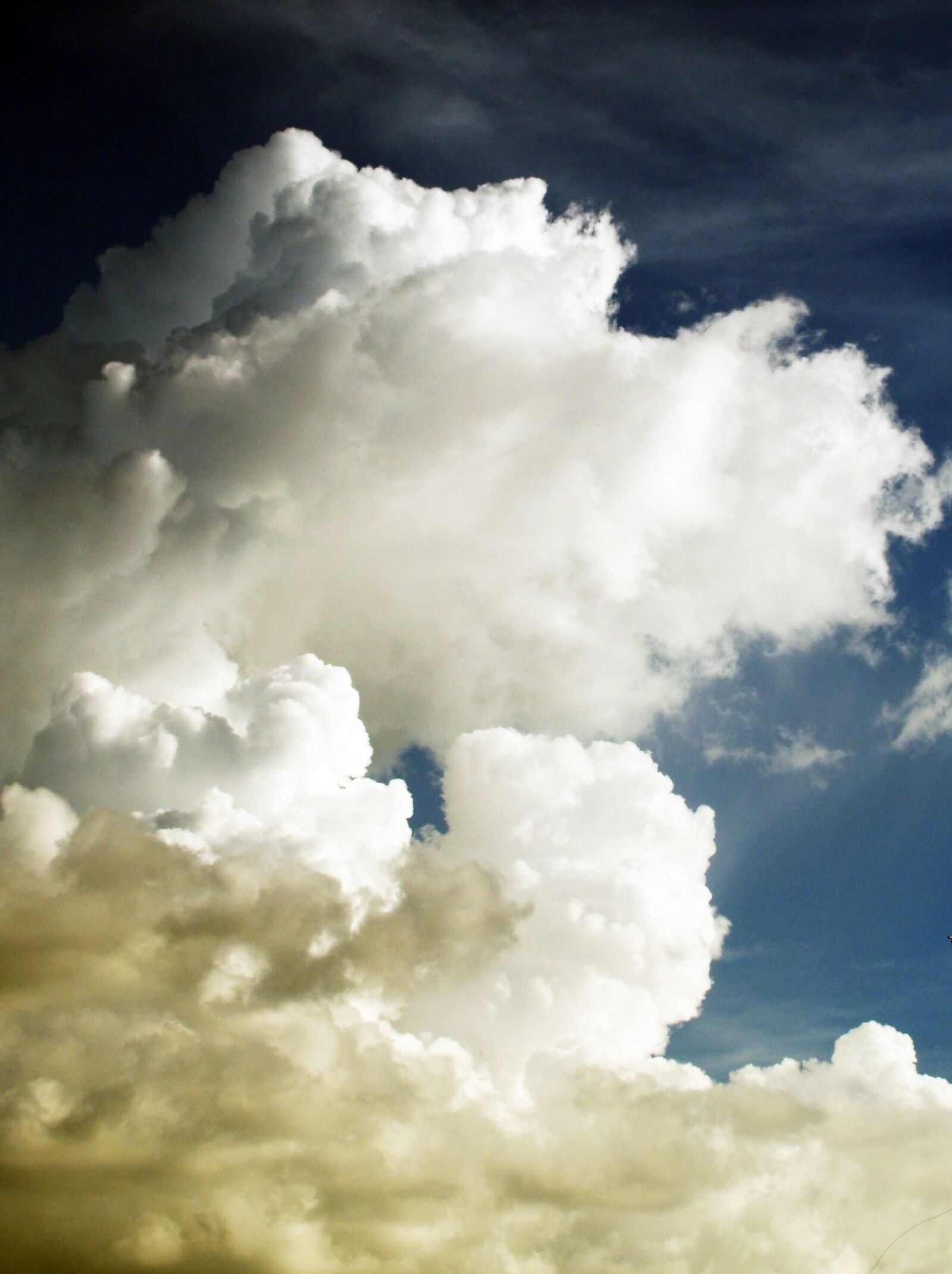 Olympus E-300 (EVOLT E-300) sample photo. Sky, cloud, blue photography