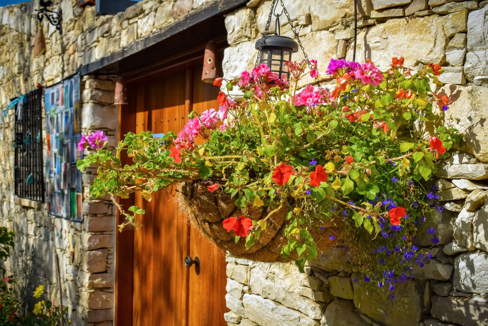 Nikon D3300 sample photo. Wall hung flower pot photography