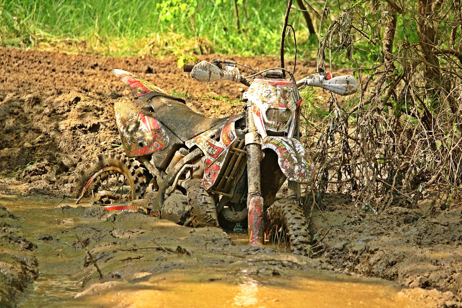 Canon EOS 100D (EOS Rebel SL1 / EOS Kiss X7) sample photo. Swamp, quagmire, mud photography