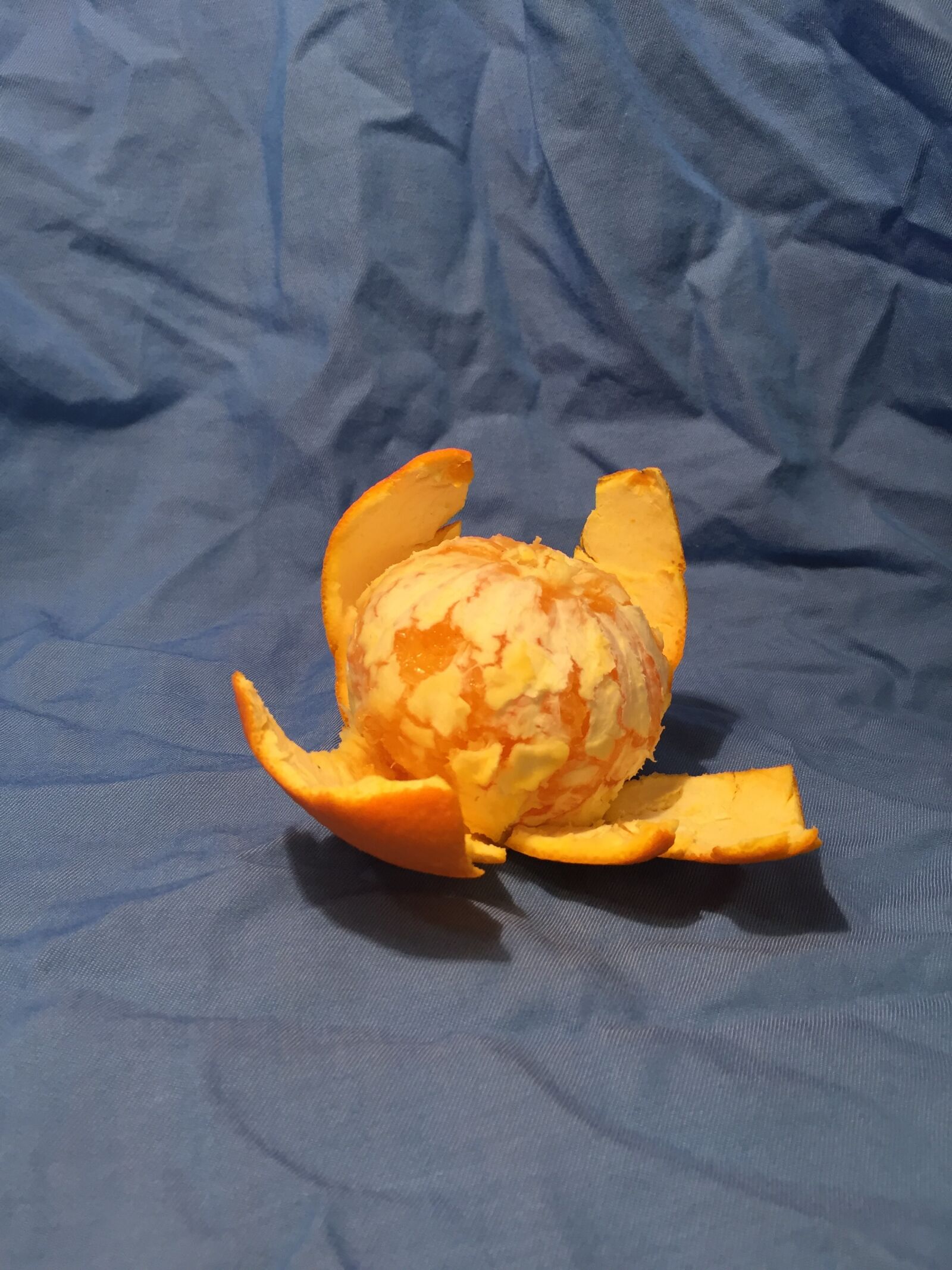iPhone 6 back camera 4.15mm f/2.2 sample photo. Blue, backed, citrus, citrus photography