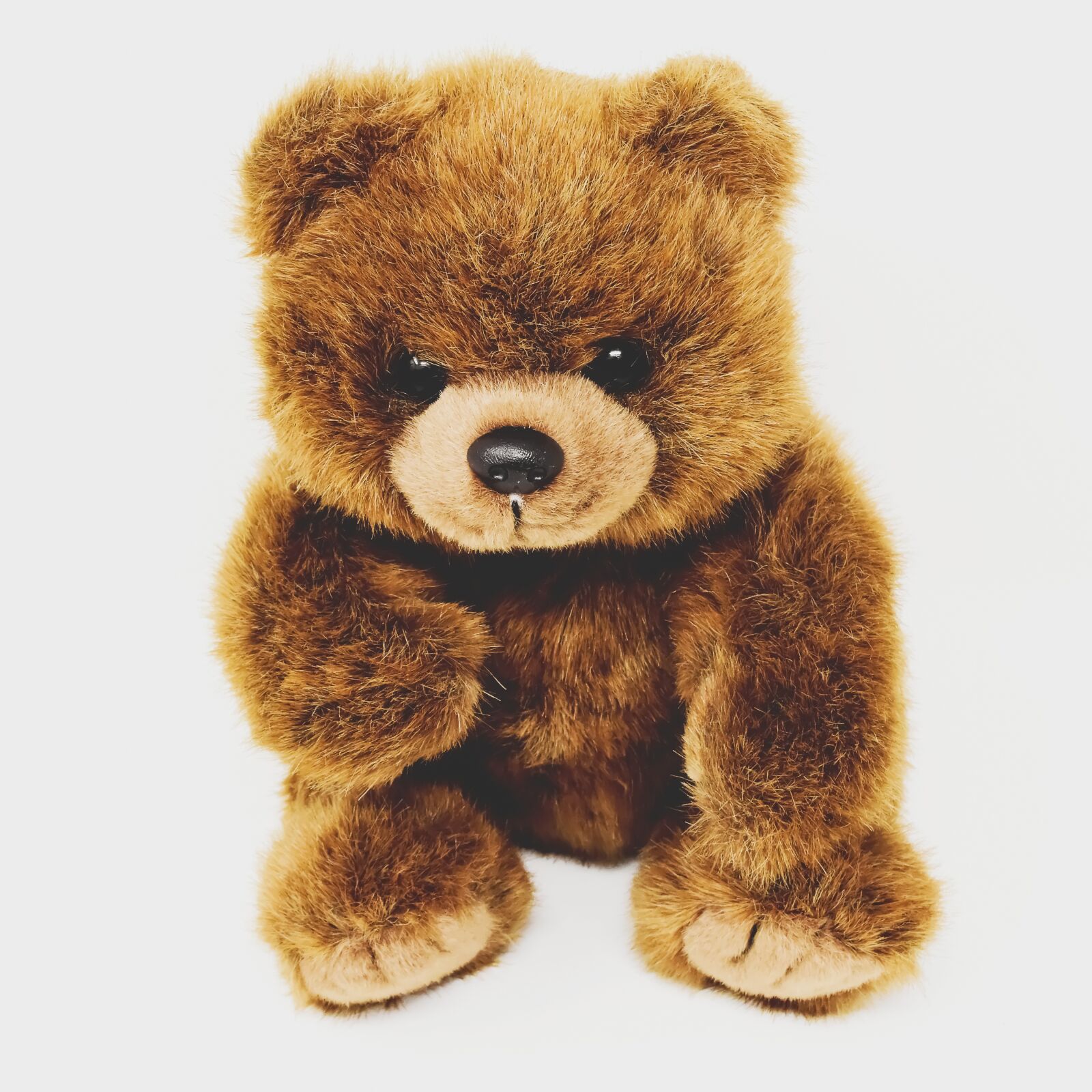 Nikon D7200 sample photo. Teddy, stuffed animal, funny photography