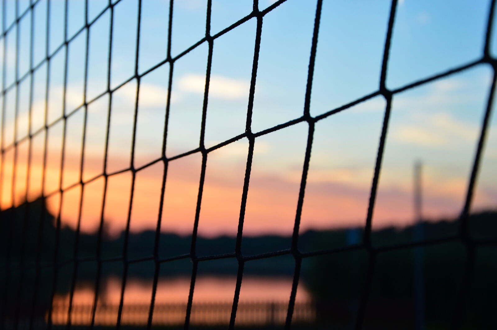 Nikon D3200 sample photo. Colors, fence, net, sky photography