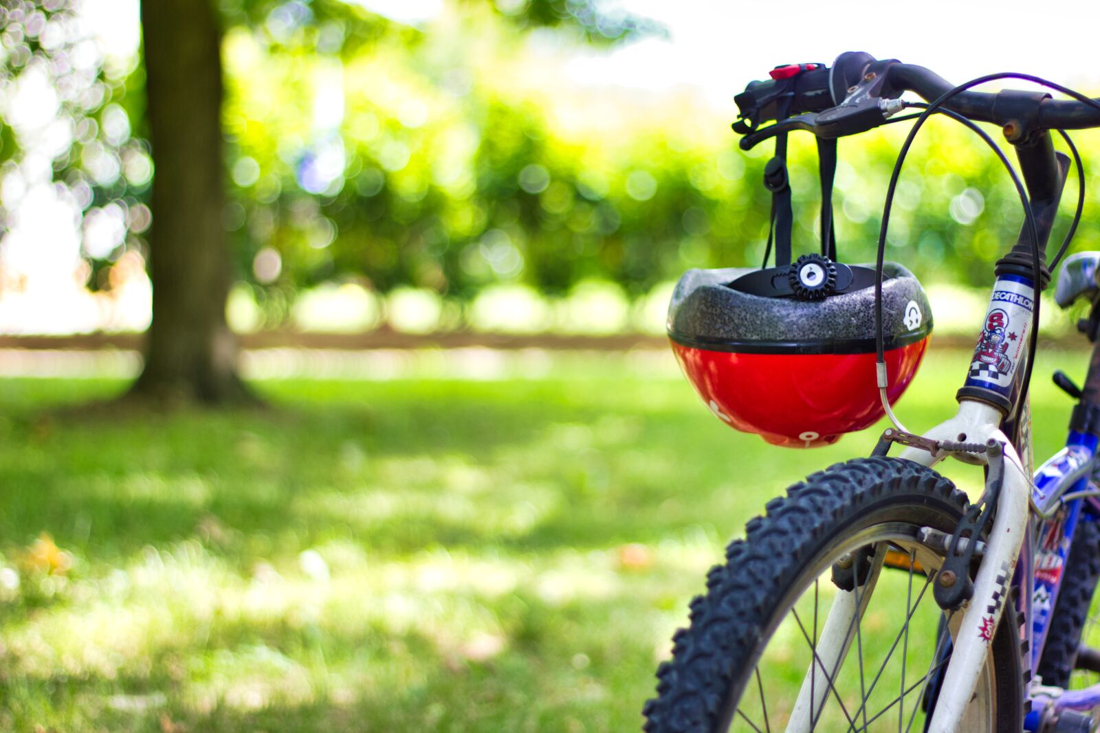 Canon EOS 550D (EOS Rebel T2i / EOS Kiss X4) sample photo. Bicycle, bob, campaign photography