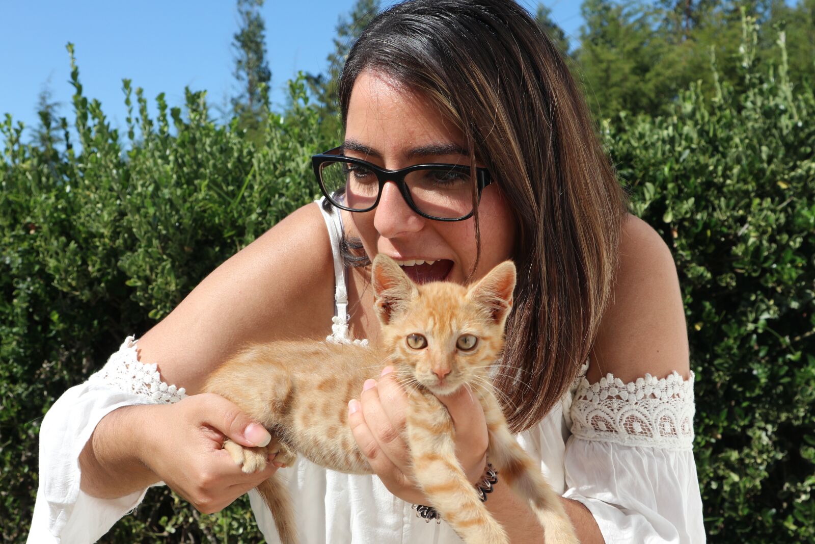 Canon EOS M10 sample photo. Cat, cute, kitten photography