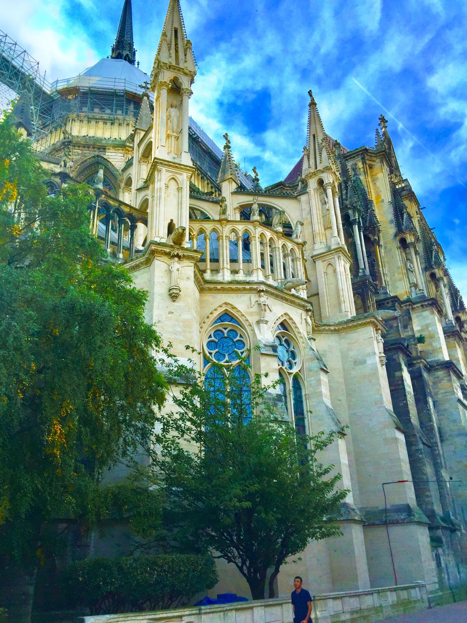 iPhone 6 Plus back camera 4.15mm f/2.2 sample photo. Reims cathedral, church, reims photography