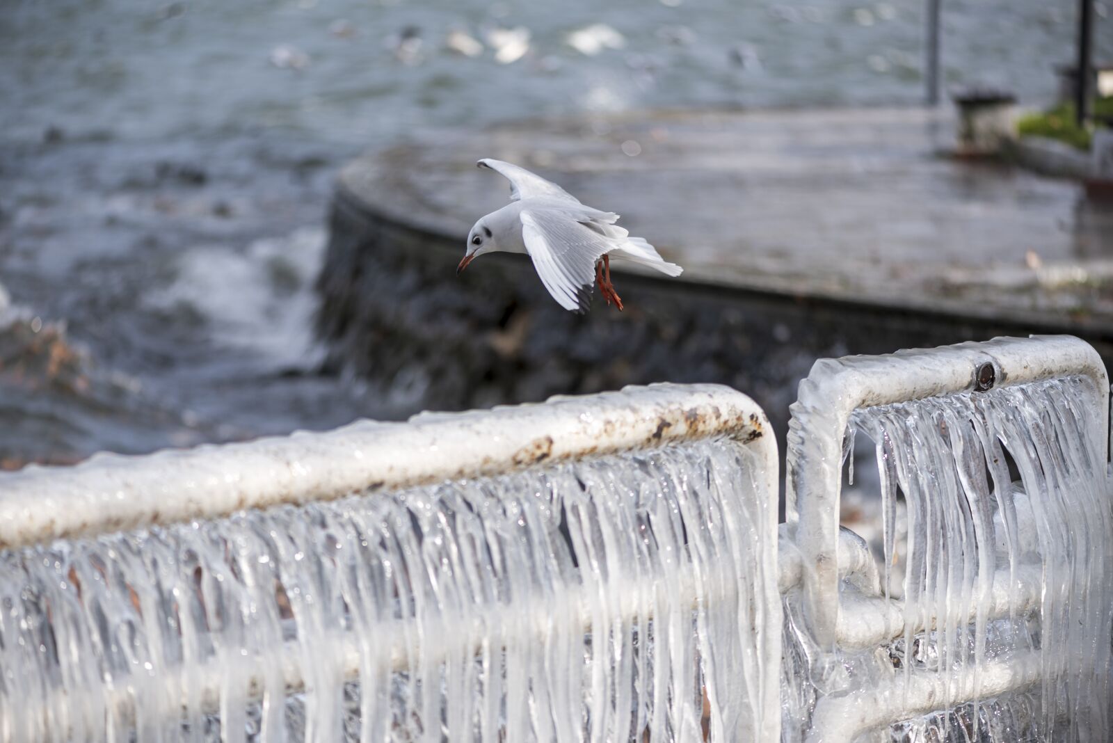 Nikon D750 sample photo. Ice, cold, winter photography