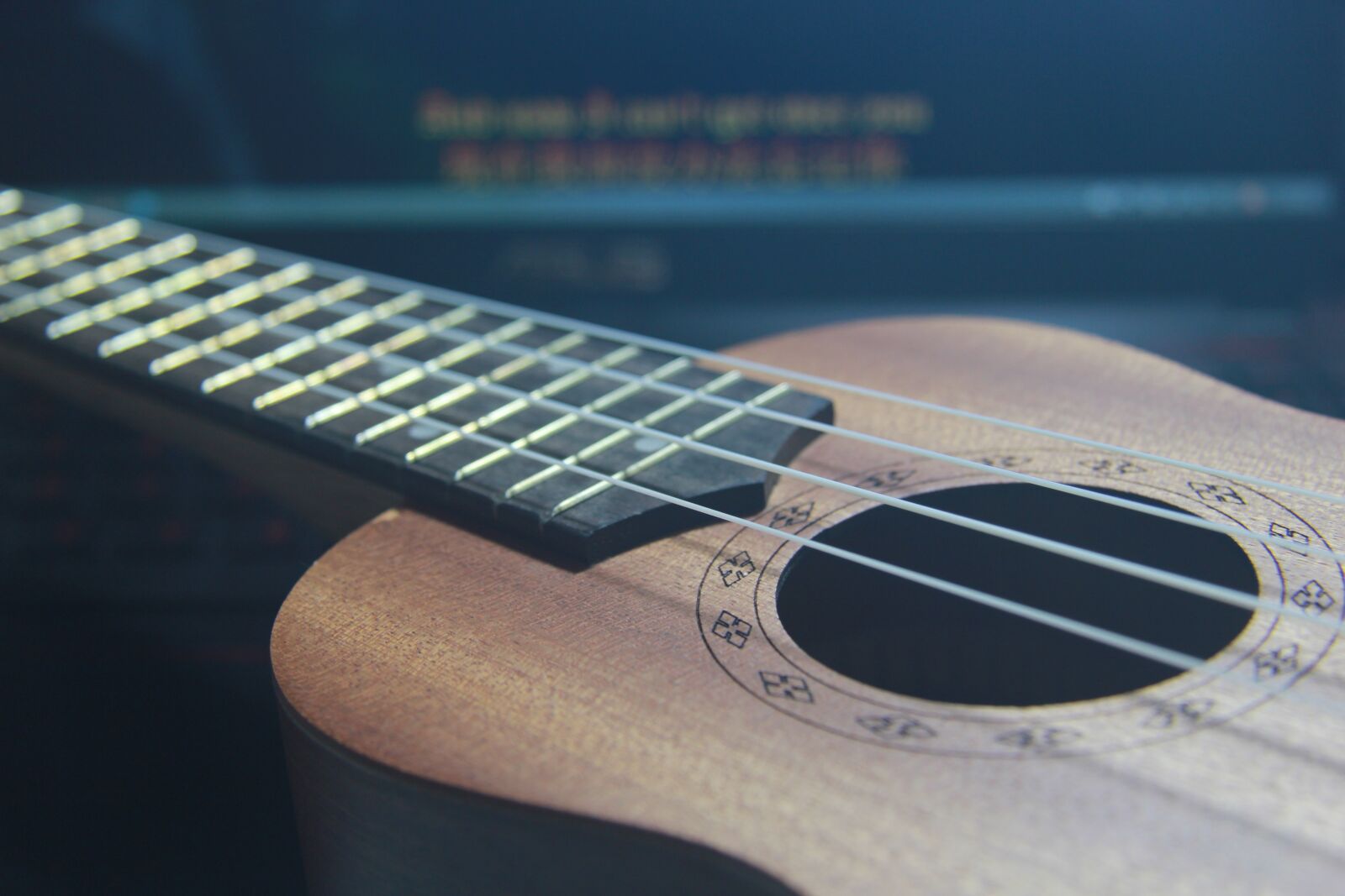 Canon EF-S 17-85mm F4-5.6 IS USM sample photo. Strings, euchre lili, music photography