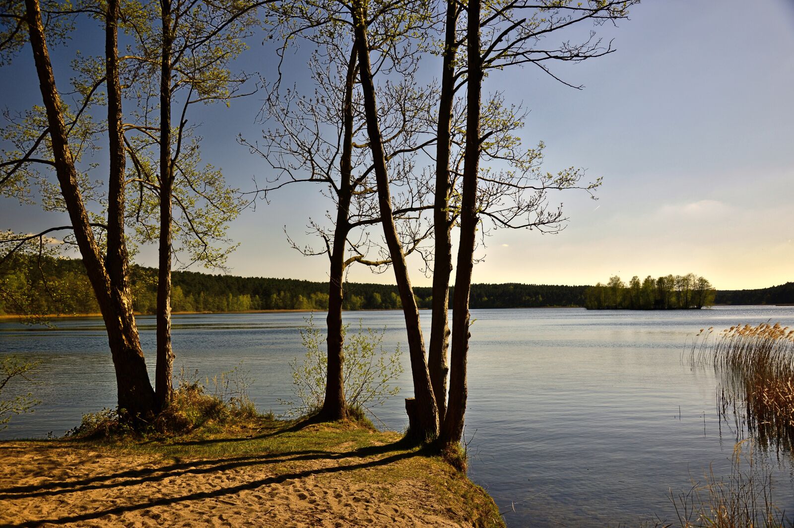 Nikon D3200 sample photo. Lake, seascape, landscape photography