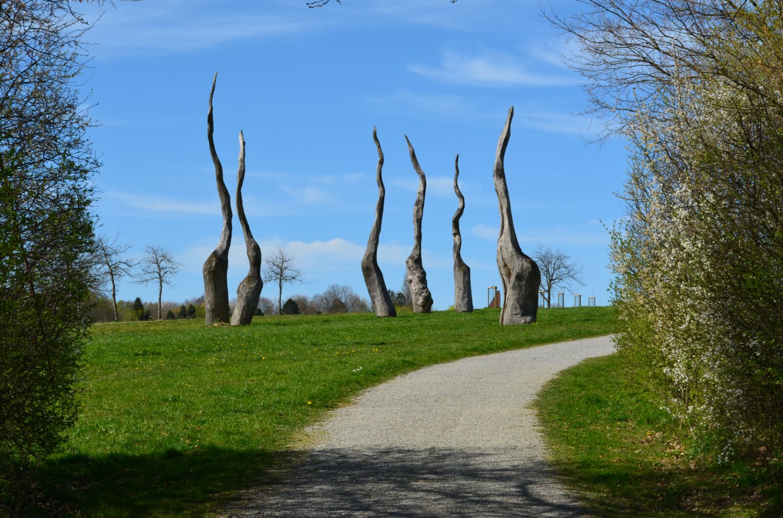 Nikon D5100 sample photo. Trees, oak, art photography