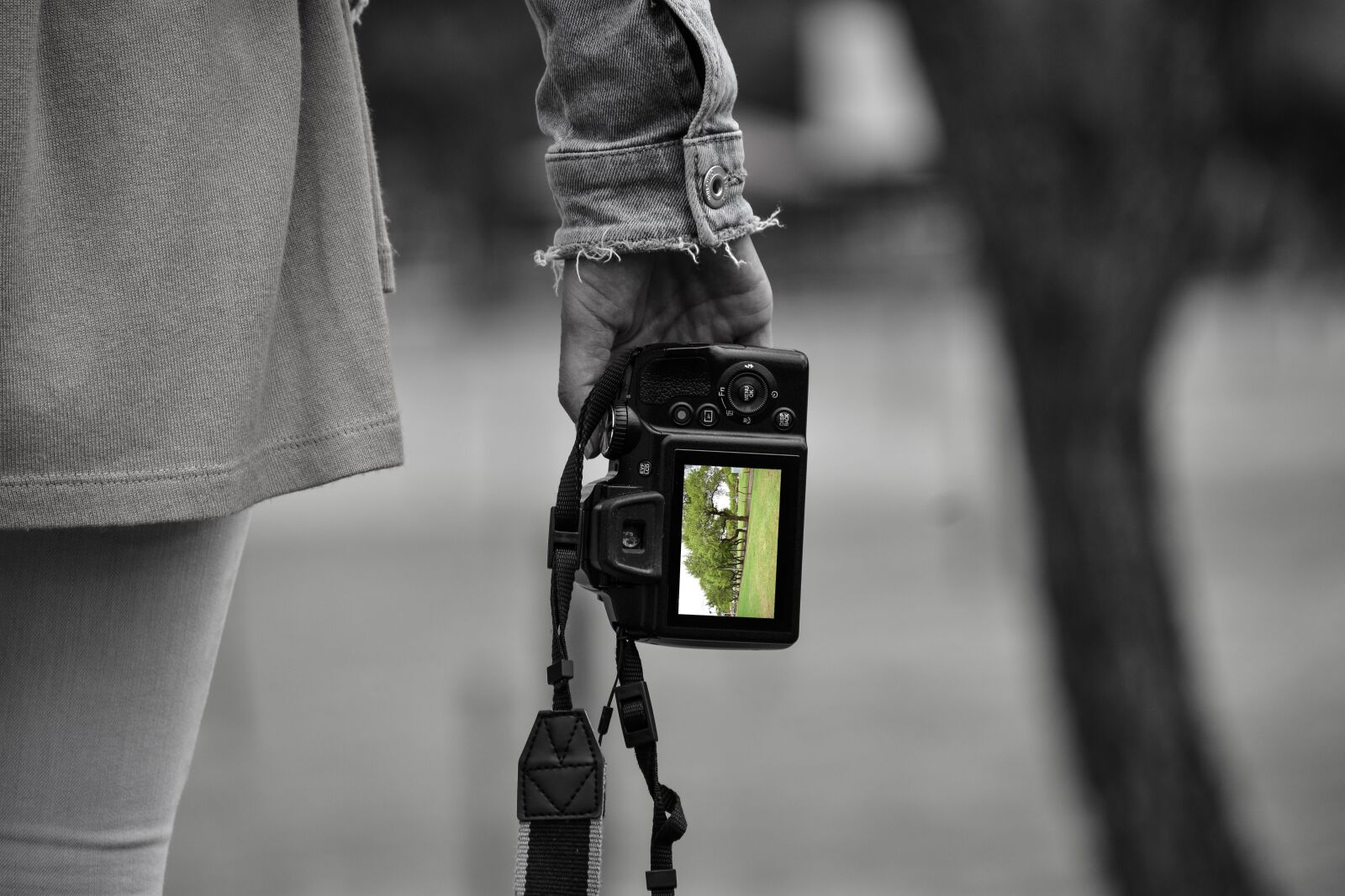 Nikon D3400 sample photo. Camera, foreground, photo photography
