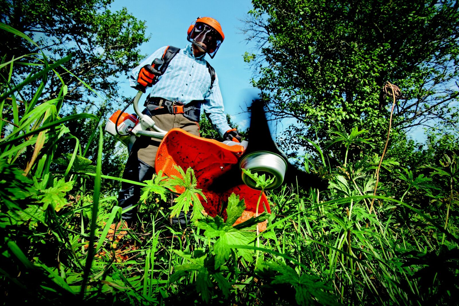 Canon EOS 5D Mark II sample photo. Garden, grass cutter, gardening photography