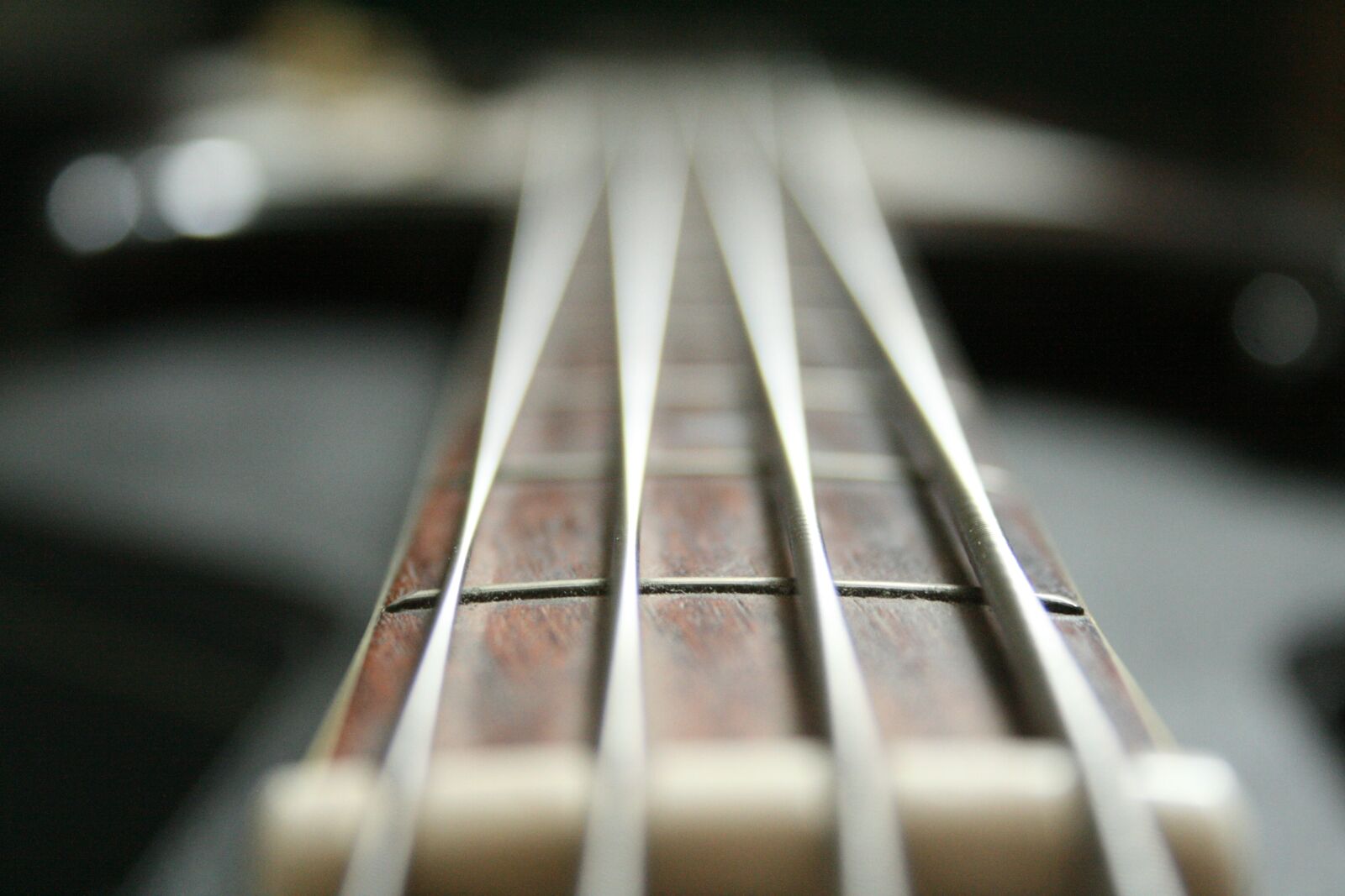Canon EOS 400D (EOS Digital Rebel XTi / EOS Kiss Digital X) sample photo. Bass, guitar, music photography