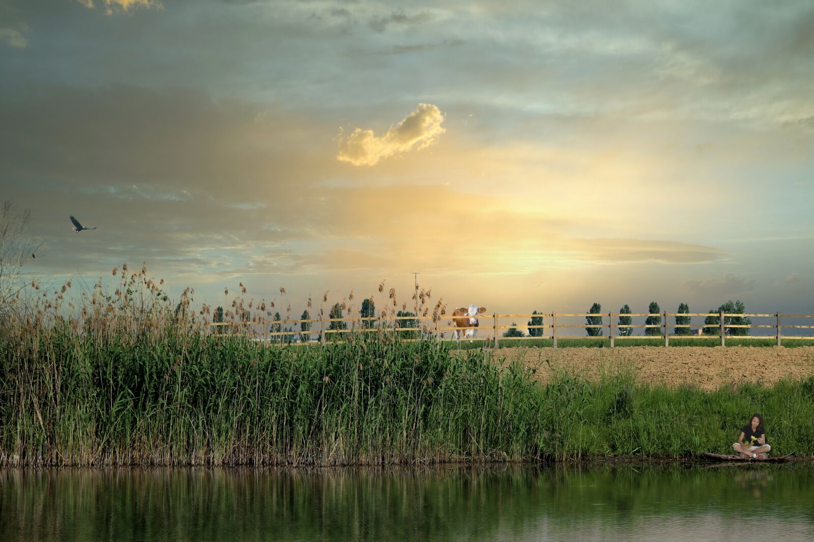 Canon EOS 600D (Rebel EOS T3i / EOS Kiss X5) sample photo. Landscape, field, reed photography